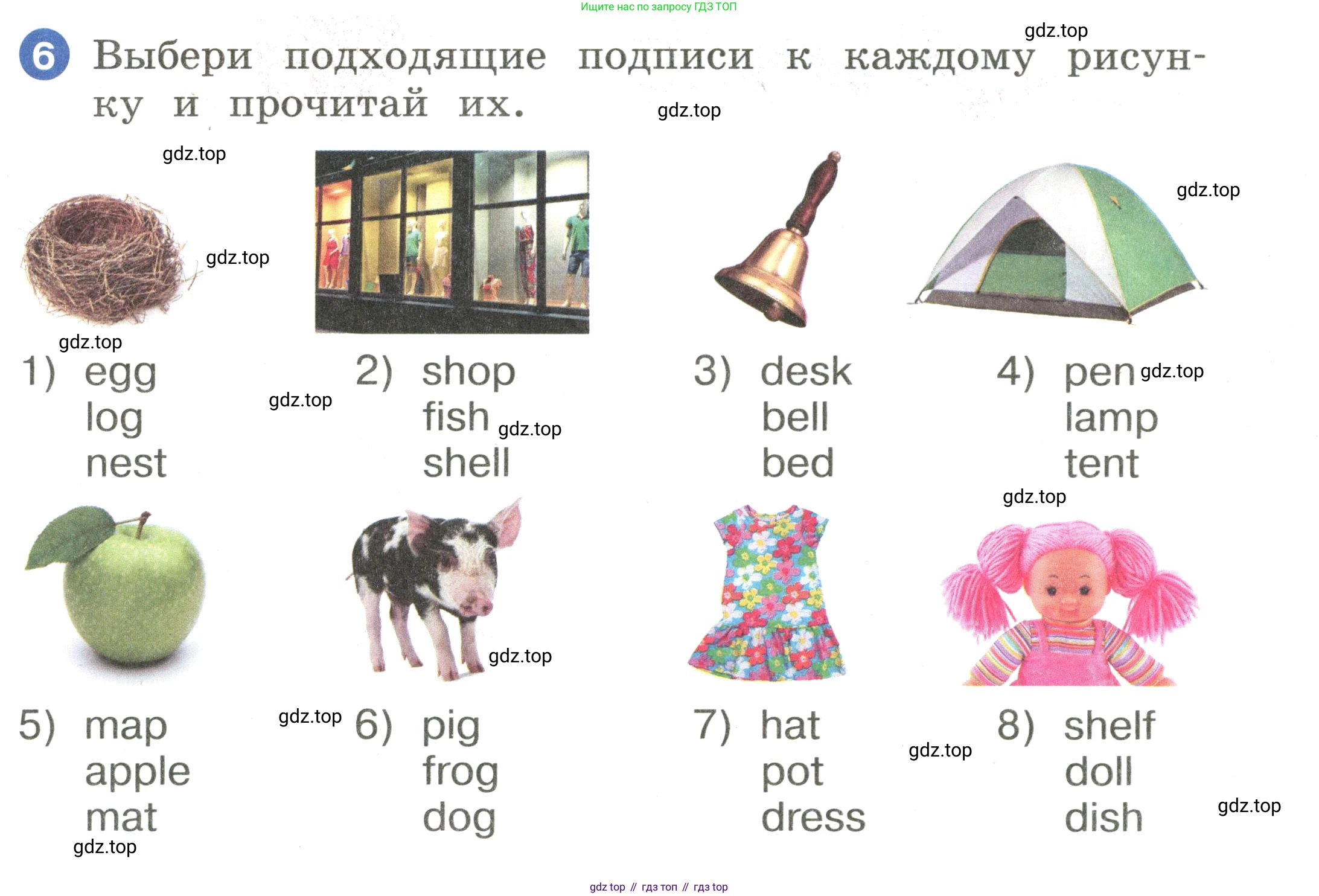 Английский язык (english), 2 класс Учебник, авторы: Афанасьева Ольга Васильевна (Afanasyeva Olga), Баранова Ксения Михайловна (Baranova Ksenia), Михеева Ирина Владимировна (Mikheeva Irina), издательство Просвещение, Москва, 2023, Часть 1, страница 37, номер 6, Условие