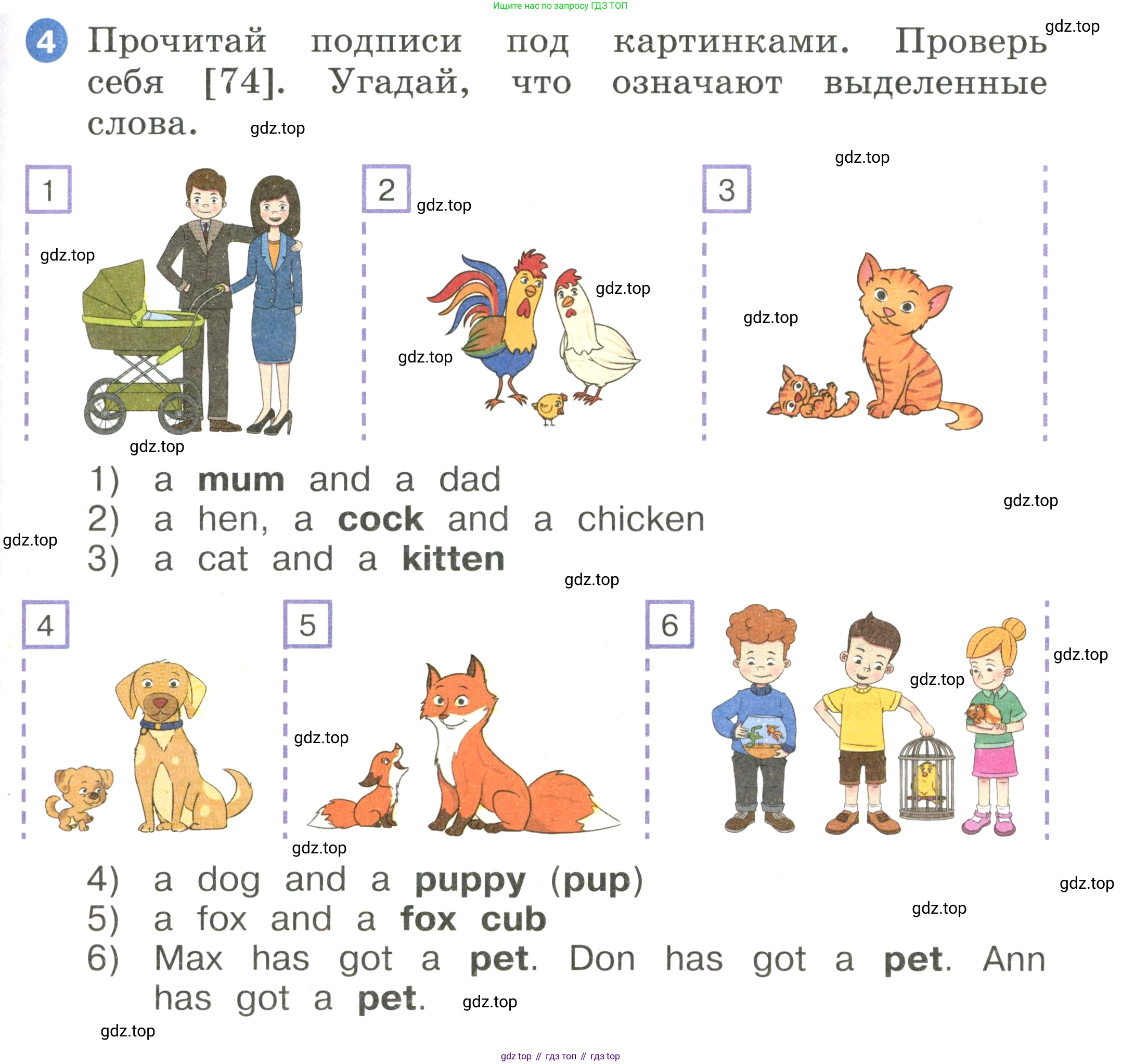 Английский язык (english), 2 класс Учебник, авторы: Афанасьева Ольга Васильевна (Afanasyeva Olga), Баранова Ксения Михайловна (Baranova Ksenia), Михеева Ирина Владимировна (Mikheeva Irina), издательство Просвещение, Москва, 2023, Часть 1, страница 63, номер 4, Условие
