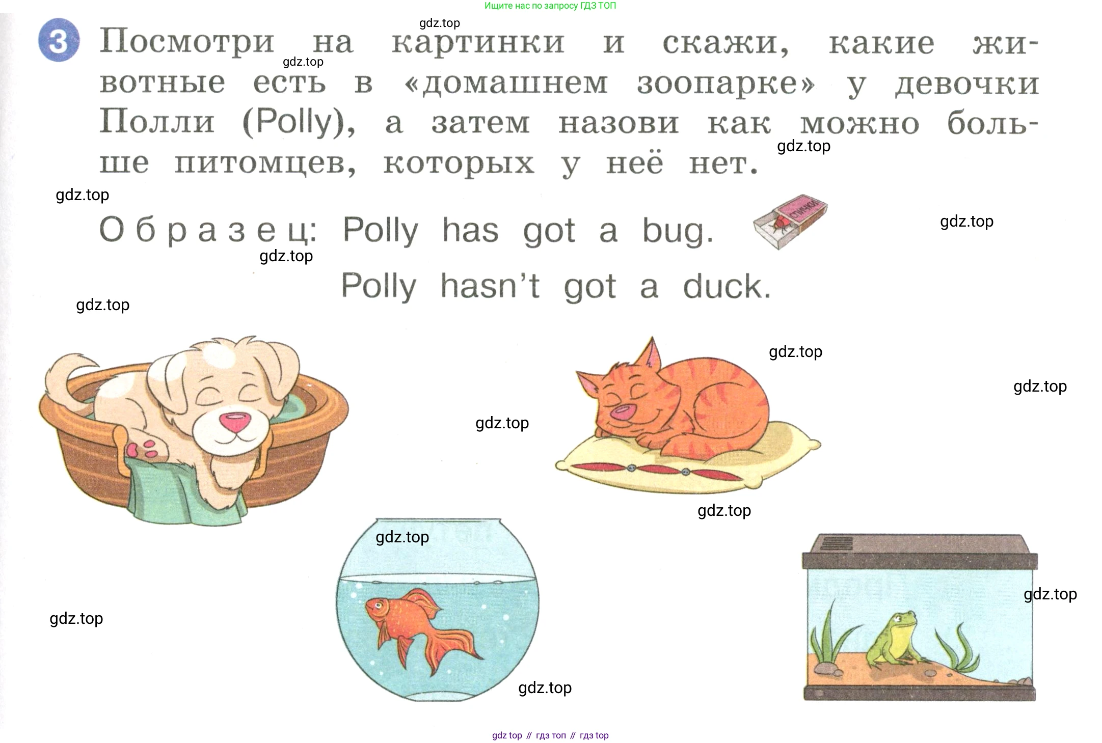 Английский язык (english), 2 класс Учебник, авторы: Афанасьева Ольга Васильевна (Afanasyeva Olga), Баранова Ксения Михайловна (Baranova Ksenia), Михеева Ирина Владимировна (Mikheeva Irina), издательство Просвещение, Москва, 2023, Часть 1, страница 67, номер 3, Условие