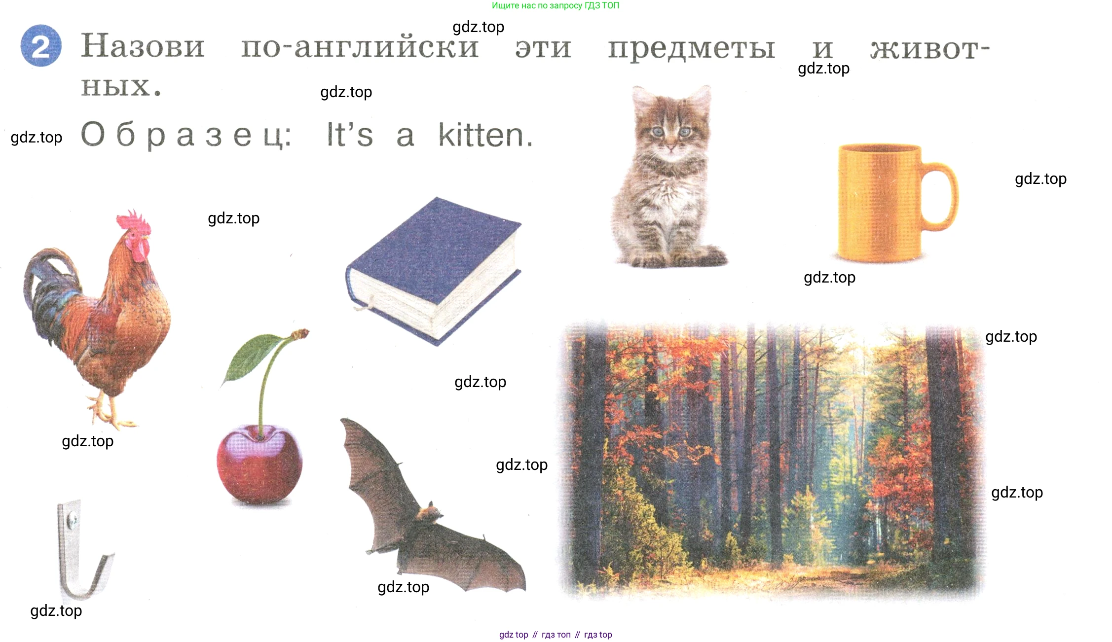 Английский язык (english), 2 класс Учебник, авторы: Афанасьева Ольга Васильевна (Afanasyeva Olga), Баранова Ксения Михайловна (Baranova Ksenia), Михеева Ирина Владимировна (Mikheeva Irina), издательство Просвещение, Москва, 2023, Часть 1, страница 87, номер 2, Условие