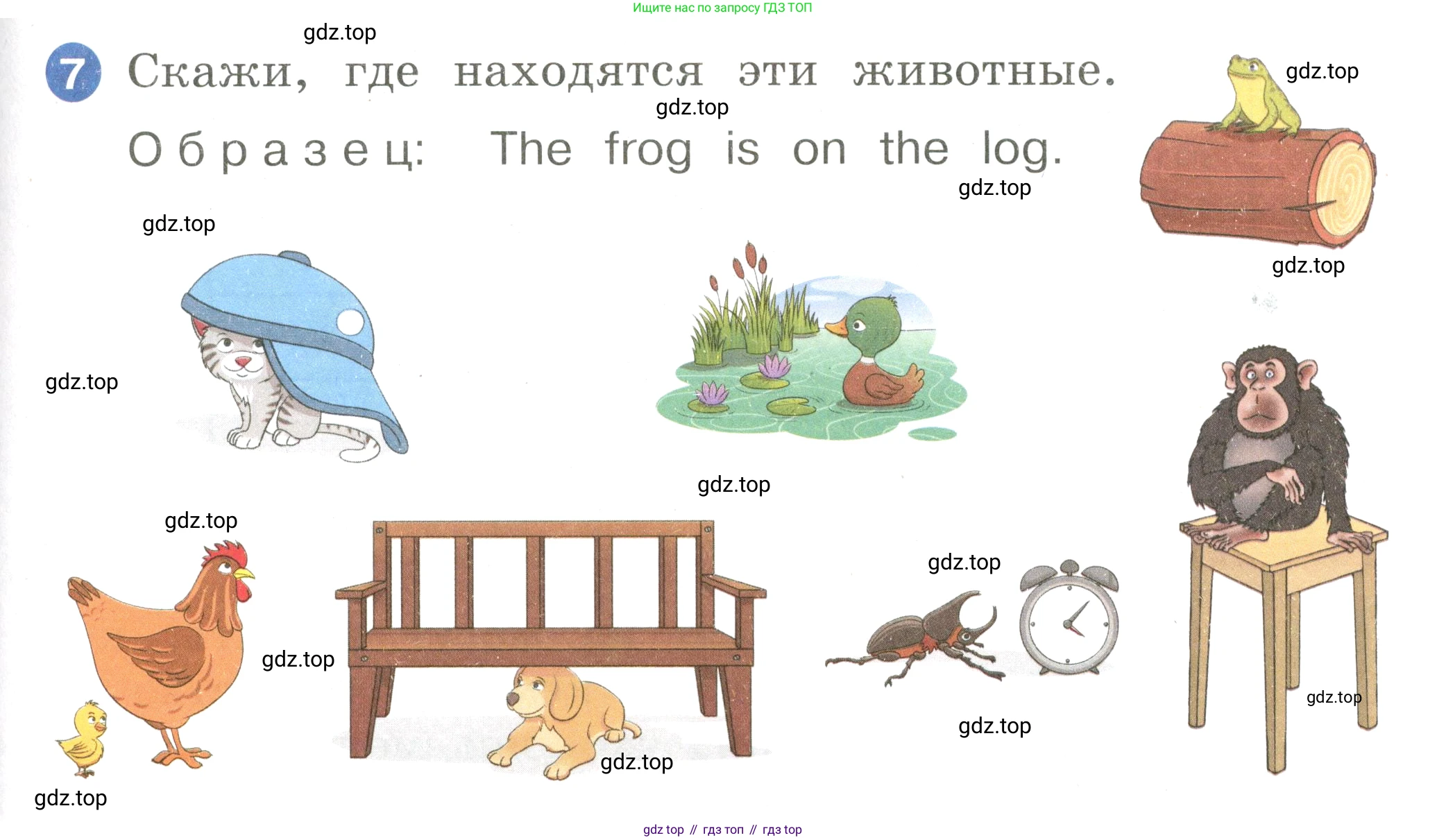 Английский язык (english), 2 класс Учебник, авторы: Афанасьева Ольга Васильевна (Afanasyeva Olga), Баранова Ксения Михайловна (Baranova Ksenia), Михеева Ирина Владимировна (Mikheeva Irina), издательство Просвещение, Москва, 2023, Часть 1, страница 105, номер 7, Условие
