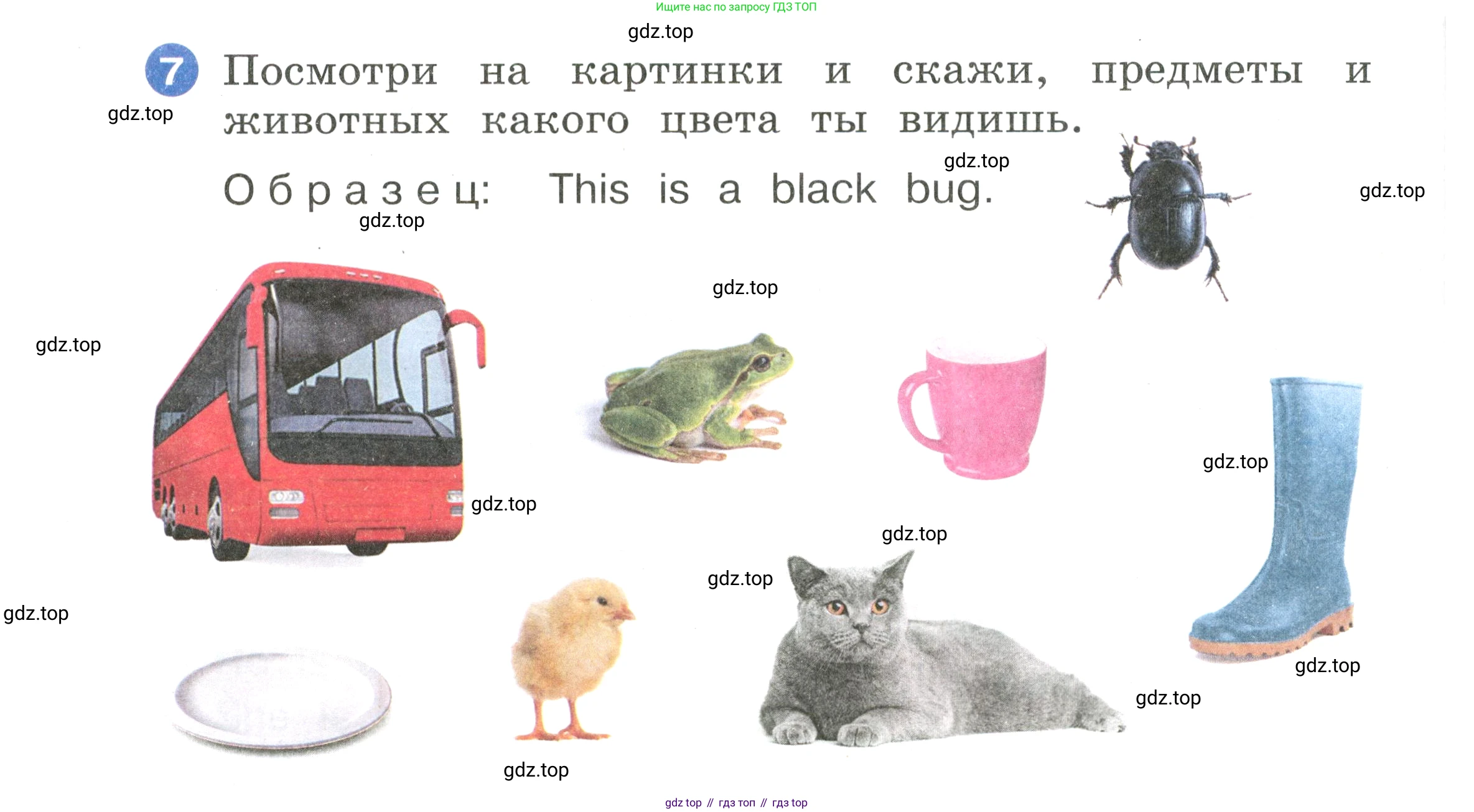 Английский язык (english), 2 класс Учебник, авторы: Афанасьева Ольга Васильевна (Afanasyeva Olga), Баранова Ксения Михайловна (Baranova Ksenia), Михеева Ирина Владимировна (Mikheeva Irina), издательство Просвещение, Москва, 2023, Часть 2, страница 6, номер 7, Условие