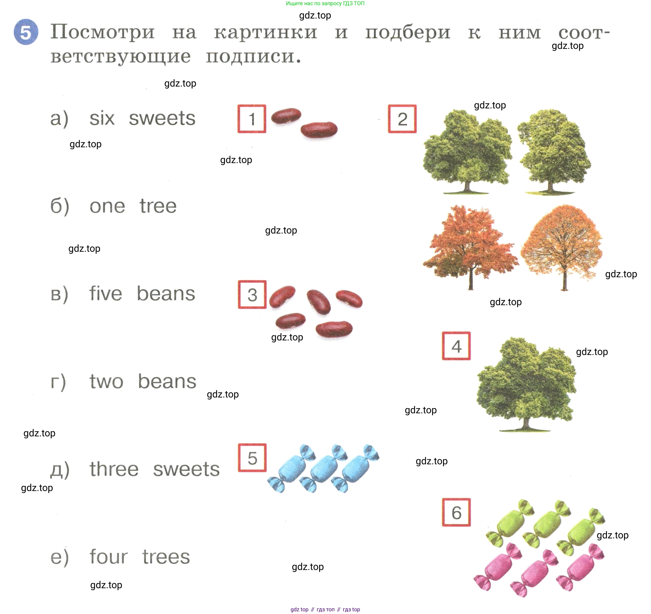 Английский язык (english), 2 класс Учебник, авторы: Афанасьева Ольга Васильевна (Afanasyeva Olga), Баранова Ксения Михайловна (Baranova Ksenia), Михеева Ирина Владимировна (Mikheeva Irina), издательство Просвещение, Москва, 2023, Часть 2, страница 17, номер 5, Условие