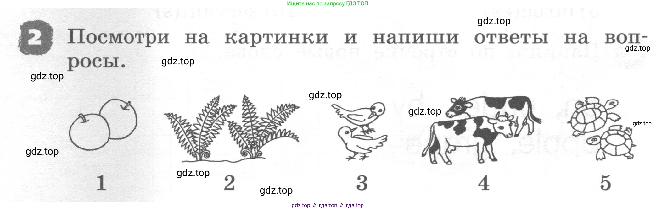 ГДЗ Английский язык (english), 2 класс рабочая тетрадь, авторы: Афанасьева Ольга Васильевна (Afanasyeva Olga), Михеева Ирина Владимировна (Mikheeva Irina), издательство Просвещение, Москва, 2012 - 2022, страница 96, номер 2, Условие