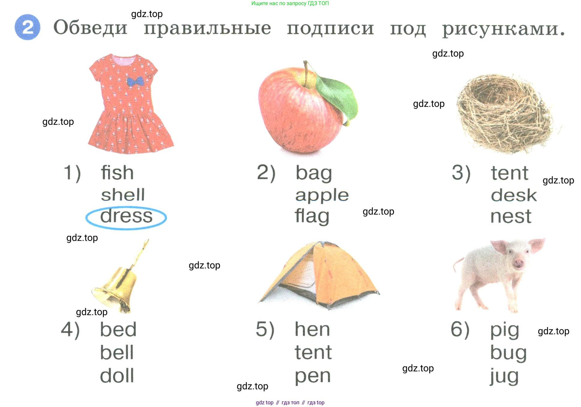 ГДЗ Английский язык (english), 2 класс рабочая тетрадь, авторы: Афанасьева Ольга Васильевна (Afanasyeva Olga), Баранова Ксения Михайловна (Baranova Ksenia), Михеева Ирина Владимировна (Mikheeva Irina), издательство Просвещение, Москва, 2023, Часть 1, страница 24, номер 2, Условие