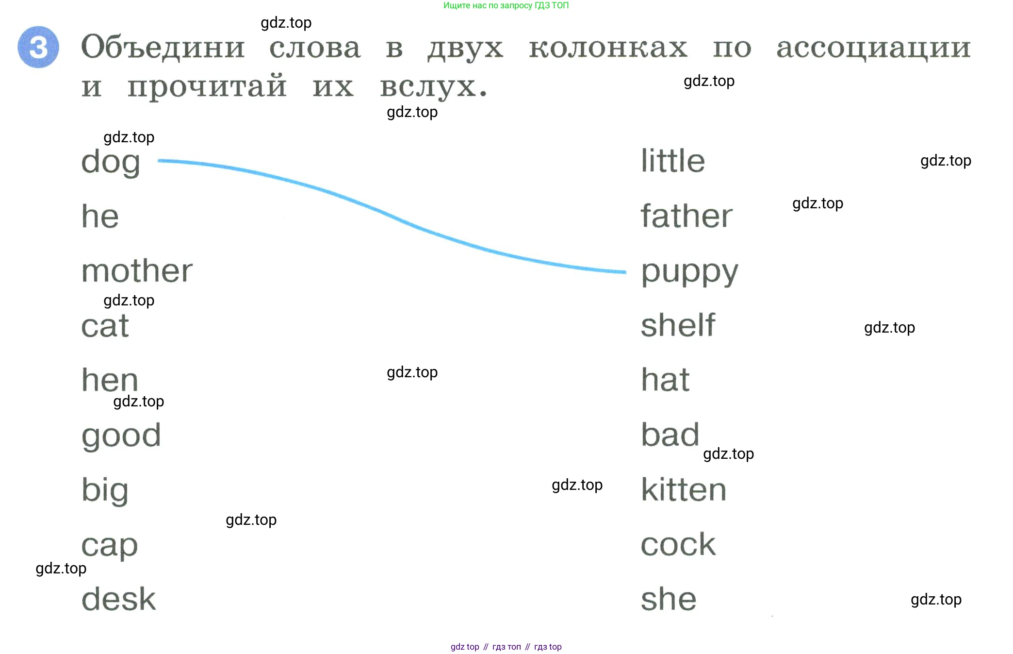 ГДЗ Английский язык (english), 2 класс рабочая тетрадь, авторы: Афанасьева Ольга Васильевна (Afanasyeva Olga), Баранова Ксения Михайловна (Baranova Ksenia), Михеева Ирина Владимировна (Mikheeva Irina), издательство Просвещение, Москва, 2023, Часть 1, страница 48, номер 3, Условие