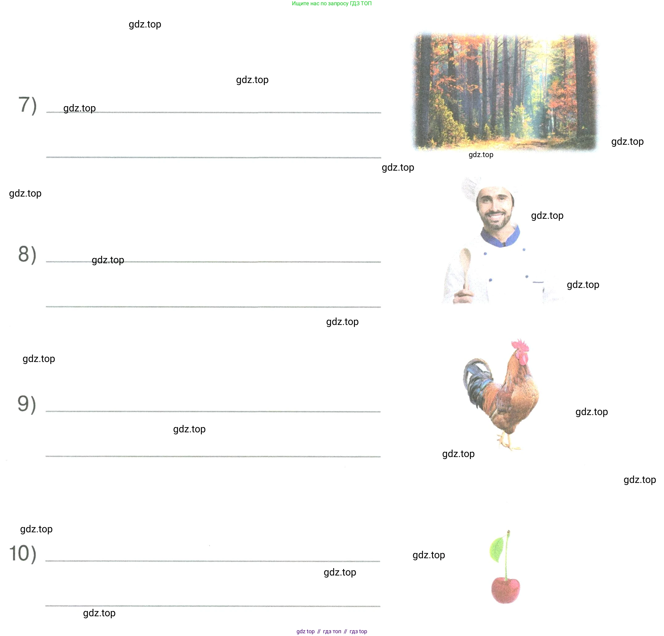 ГДЗ Английский язык (english), 2 класс рабочая тетрадь, авторы: Афанасьева Ольга Васильевна (Afanasyeva Olga), Баранова Ксения Михайловна (Baranova Ksenia), Михеева Ирина Владимировна (Mikheeva Irina), издательство Просвещение, Москва, 2023, Часть 1, страница 54, номер 4, Условие (продолжение 2)