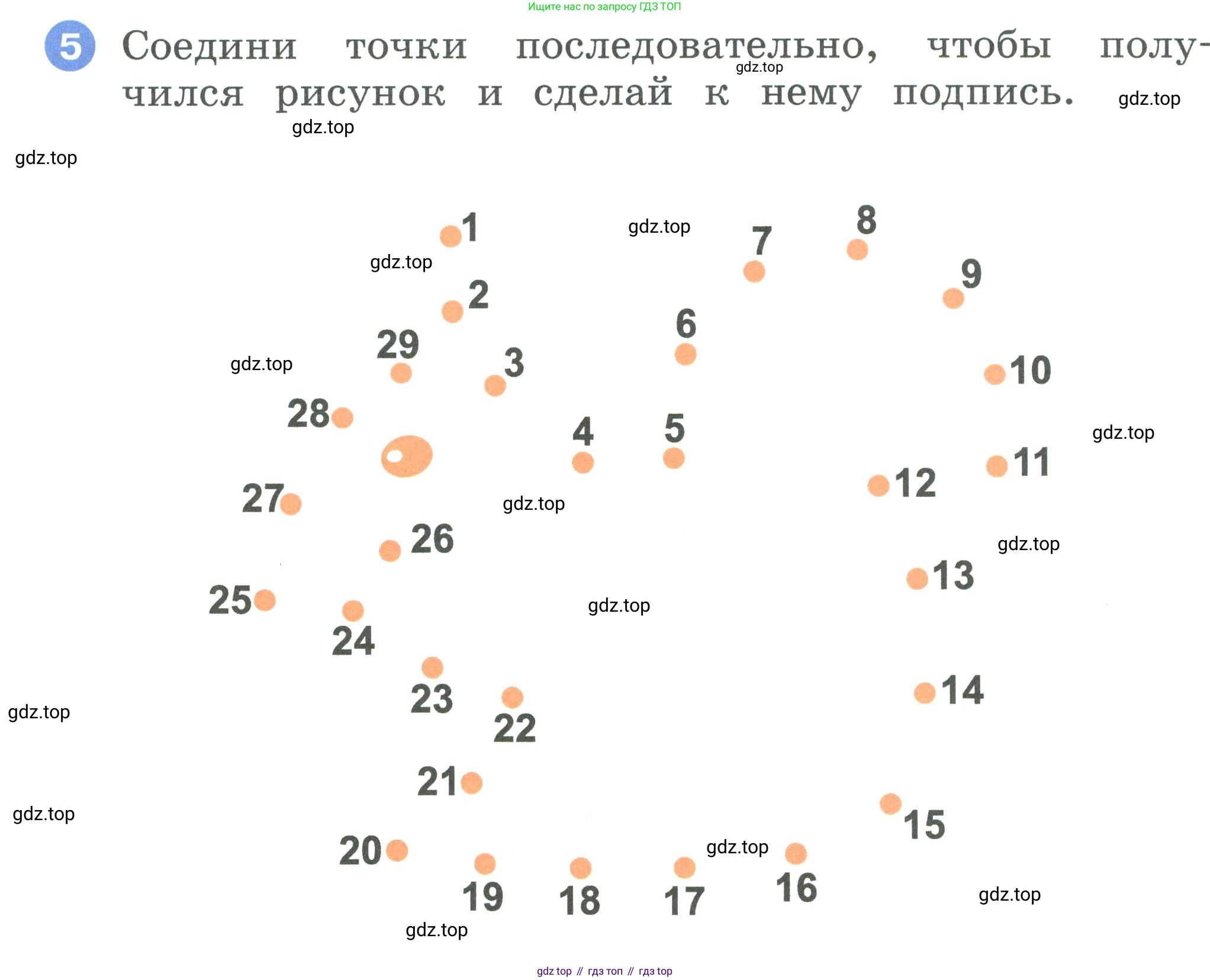 ГДЗ Английский язык (english), 2 класс рабочая тетрадь, авторы: Афанасьева Ольга Васильевна (Afanasyeva Olga), Баранова Ксения Михайловна (Baranova Ksenia), Михеева Ирина Владимировна (Mikheeva Irina), издательство Просвещение, Москва, 2023, Часть 1, страница 58, номер 5, Условие