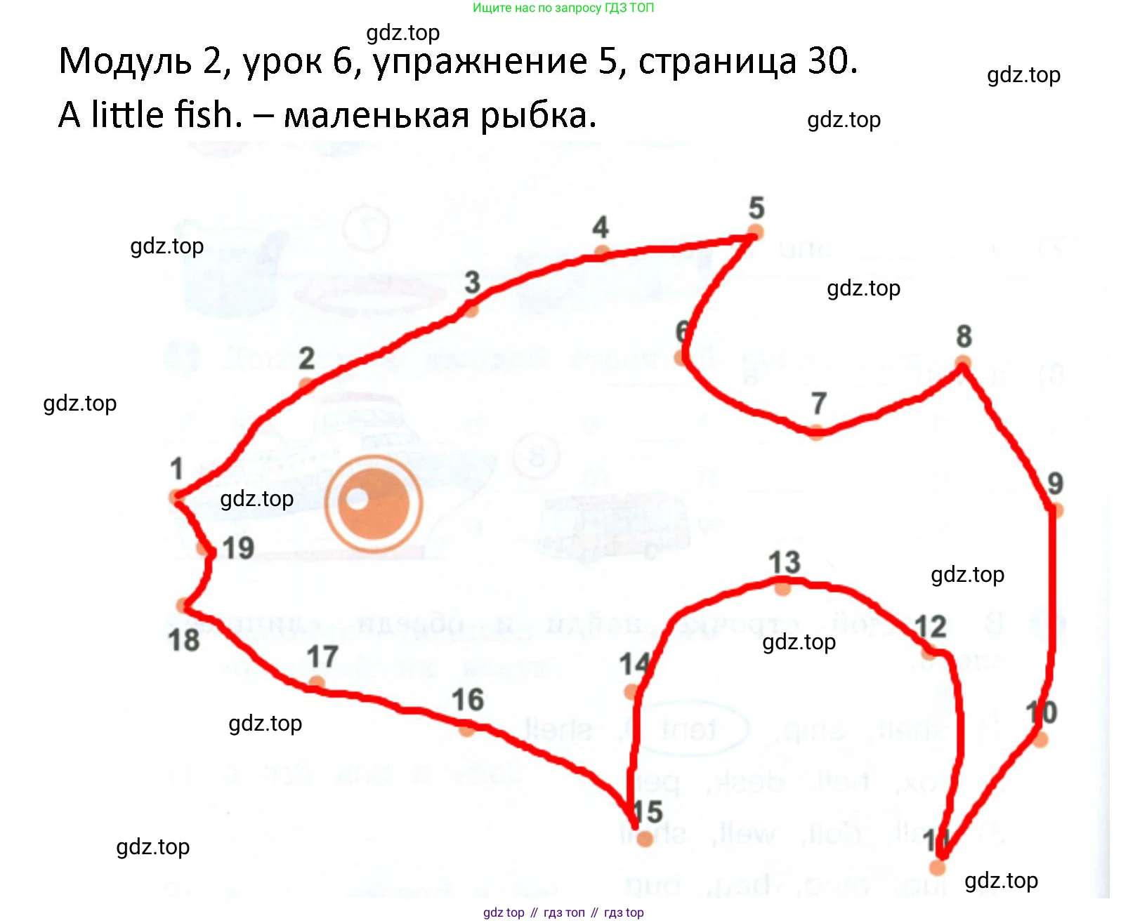ГДЗ Английский язык (english), 2 класс рабочая тетрадь, авторы: Афанасьева Ольга Васильевна (Afanasyeva Olga), Баранова Ксения Михайловна (Baranova Ksenia), Михеева Ирина Владимировна (Mikheeva Irina), издательство Просвещение, Москва, 2023, Часть 1, страница 30, номер 5, Решение