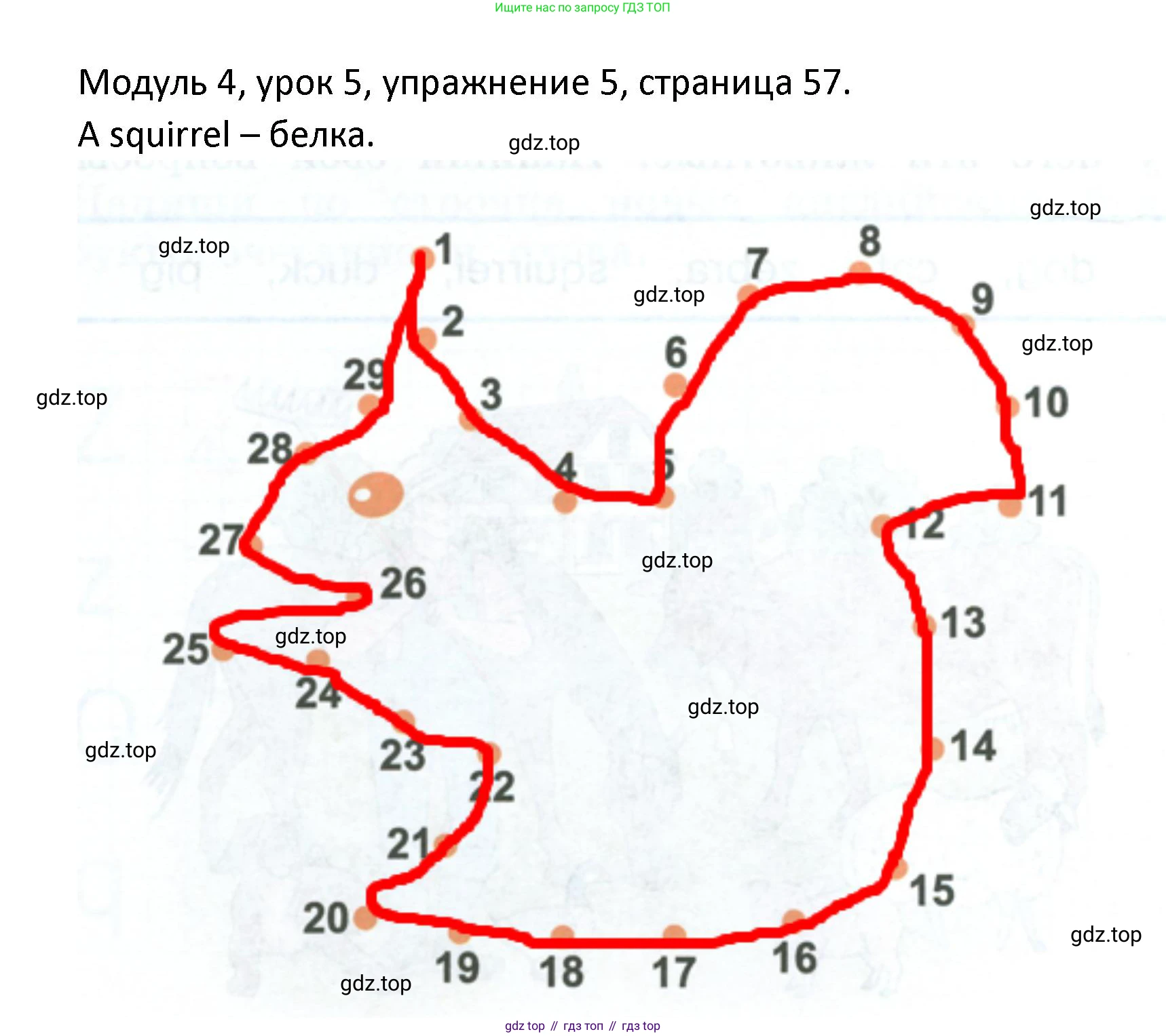ГДЗ Английский язык (english), 2 класс рабочая тетрадь, авторы: Афанасьева Ольга Васильевна (Afanasyeva Olga), Баранова Ксения Михайловна (Baranova Ksenia), Михеева Ирина Владимировна (Mikheeva Irina), издательство Просвещение, Москва, 2023, Часть 1, страница 58, номер 5, Решение