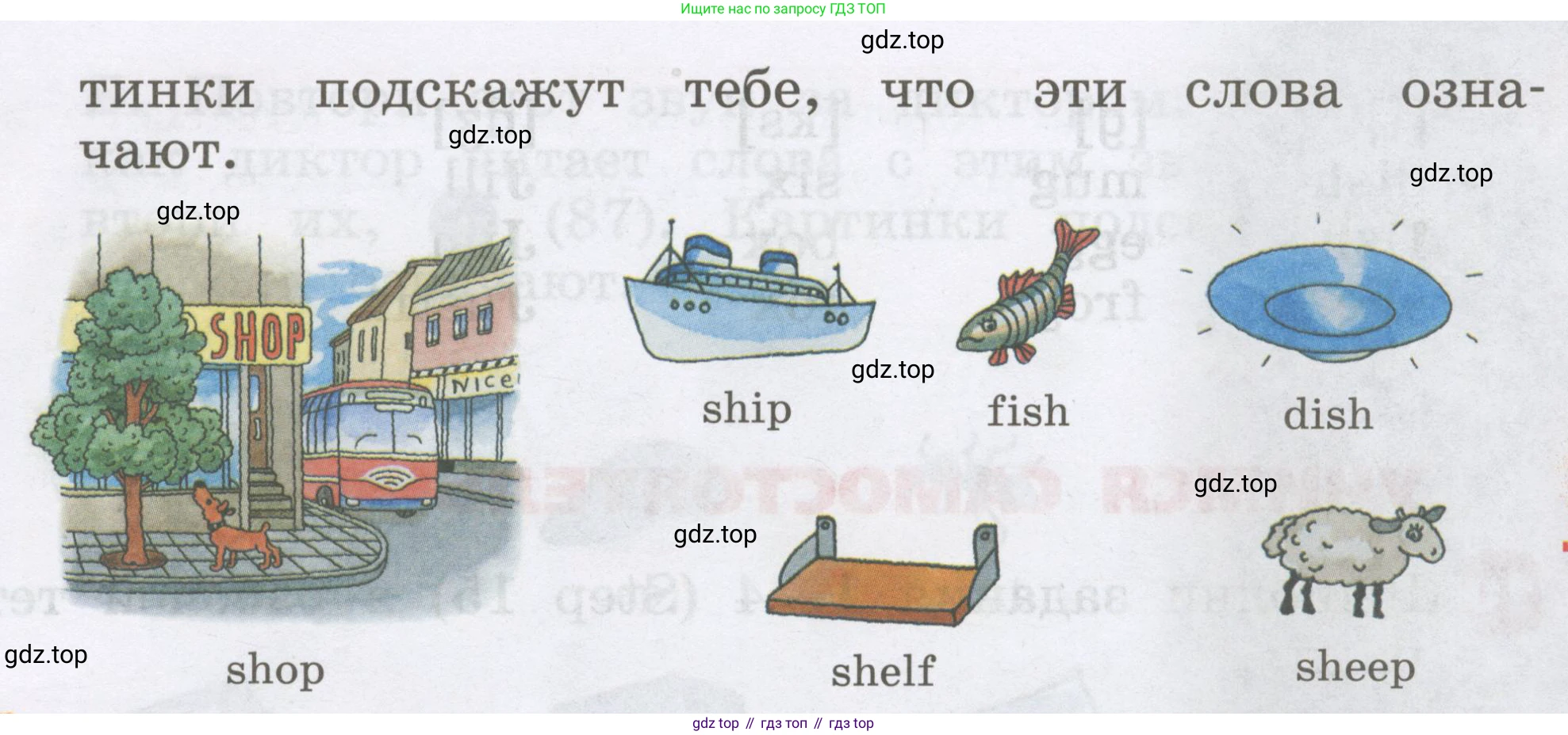 Английский язык (english), 2 класс Учебник, авторы: Афанасьева Ольга Васильевна (Afanasyeva Olga), Михеева Ирина Владимировна (Mikheeva Irina), издательство Просвещение, Москва, 2012 - 2022, Часть 1, страница 48, номер 6, Условие (продолжение 2)