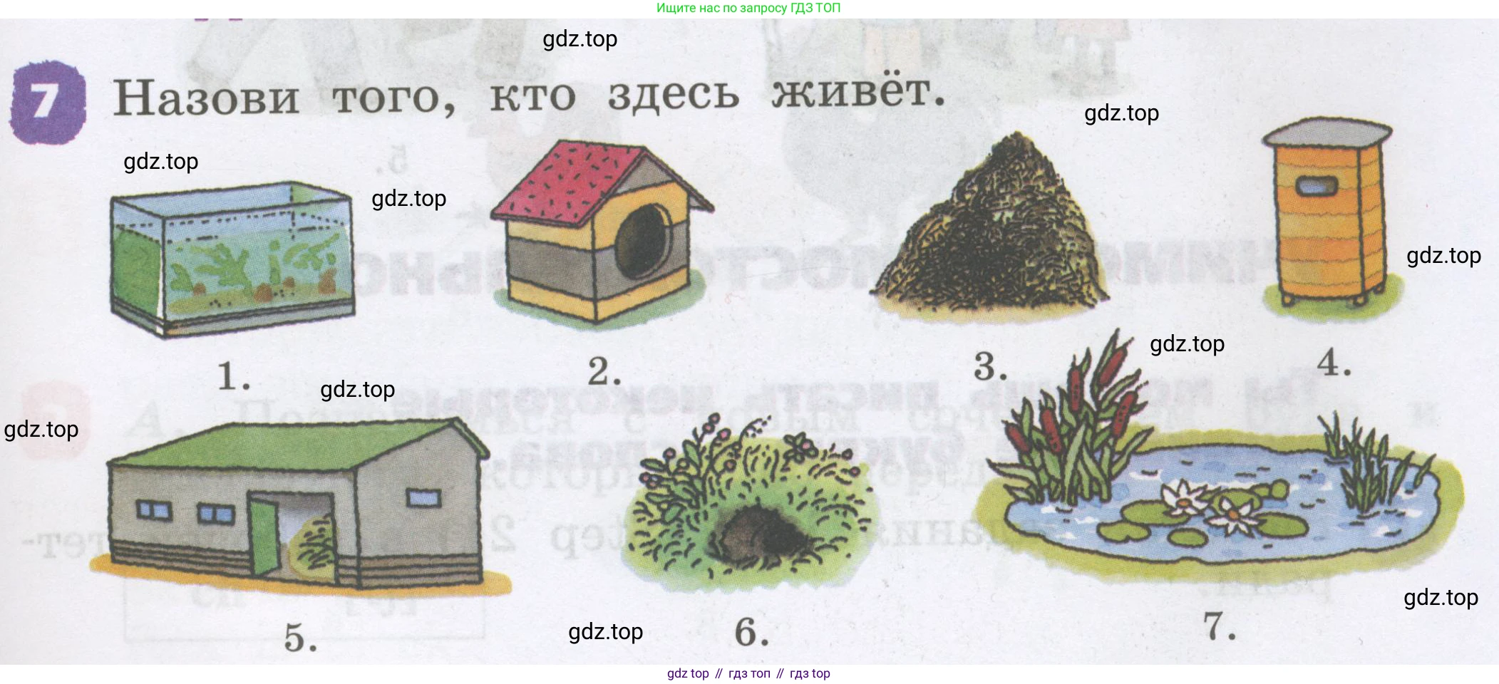 Английский язык (english), 2 класс Учебник, авторы: Афанасьева Ольга Васильевна (Afanasyeva Olga), Михеева Ирина Владимировна (Mikheeva Irina), издательство Просвещение, Москва, 2012 - 2022, Часть 1, страница 73, номер 7, Условие