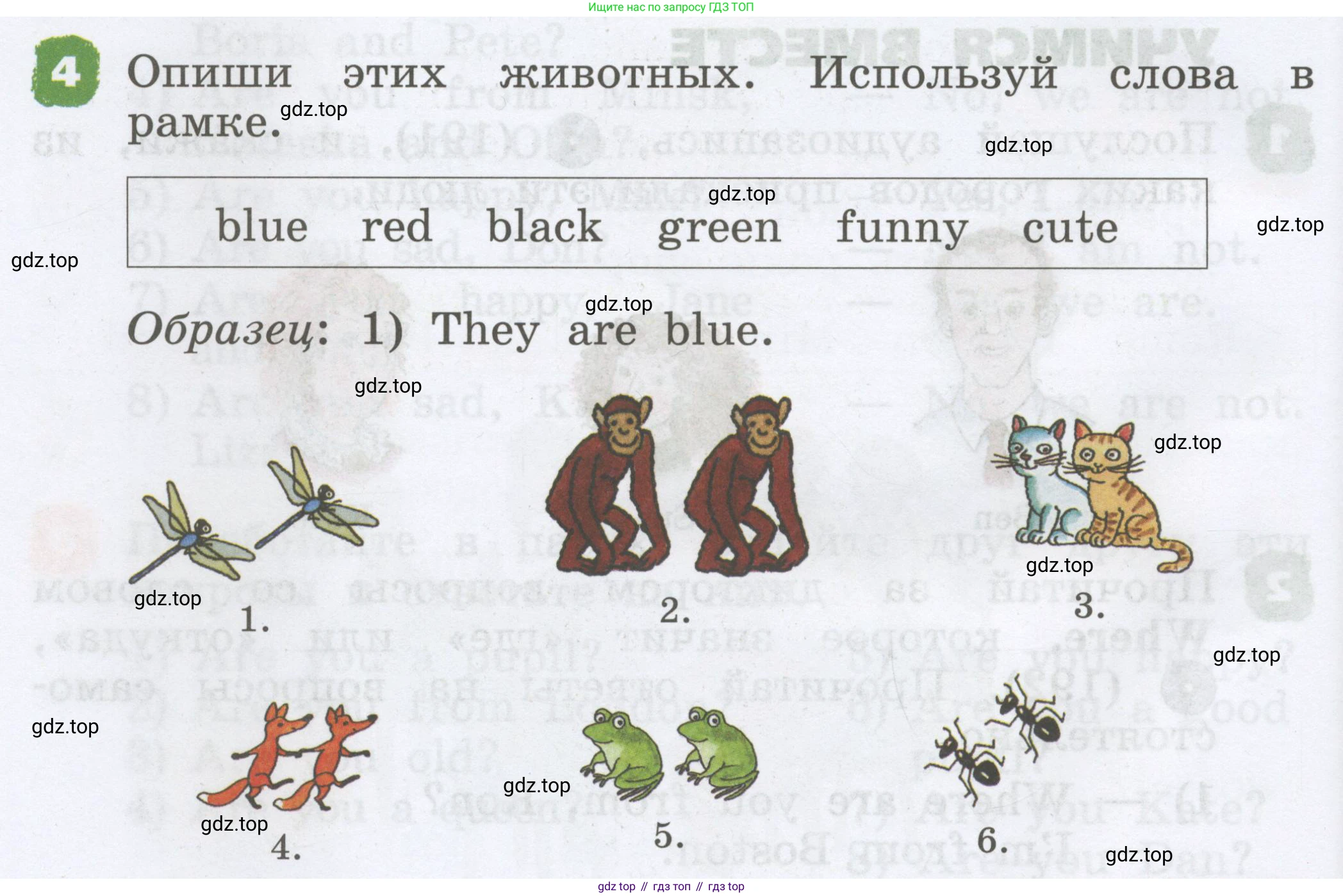 Английский язык (english), 2 класс Учебник, авторы: Афанасьева Ольга Васильевна (Afanasyeva Olga), Михеева Ирина Владимировна (Mikheeva Irina), издательство Просвещение, Москва, 2012 - 2022, Часть 2, страница 36, номер 4, Условие