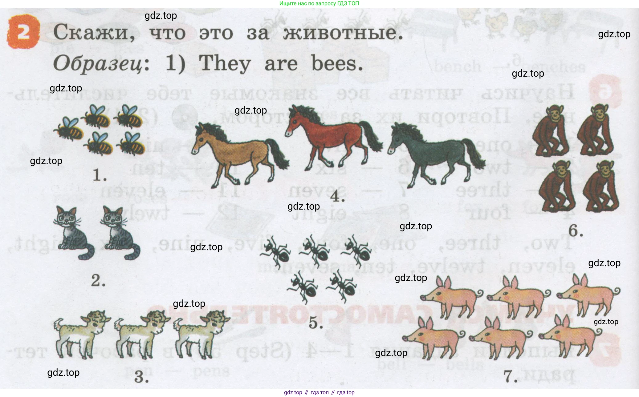 Английский язык (english), 2 класс Учебник, авторы: Афанасьева Ольга Васильевна (Afanasyeva Olga), Михеева Ирина Владимировна (Mikheeva Irina), издательство Просвещение, Москва, 2012 - 2022, Часть 2, страница 66, номер 2, Условие