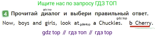Английский язык (english), 2 класс Учебник (Student's book), авторы: Быкова Надежда Ильинична (Bykova Nadezhda), Бадулина Ольга Ивановна, Поспелова Марина Давидовна (Pospelova Marina), Эванс Вирджиния (Evans Virginia), издательство Просвещение, Москва, 2023, розового цвета, Часть ( Part) 2, страница 13, номер 4, Решение 3