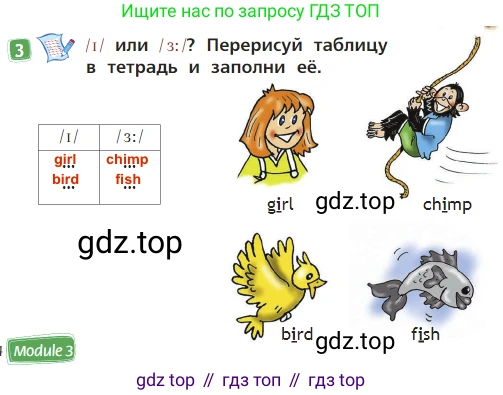 Английский язык (english), 2 класс Учебник (Student's book), авторы: Быкова Надежда Ильинична (Bykova Nadezhda), Бадулина Ольга Ивановна, Поспелова Марина Давидовна (Pospelova Marina), Эванс Вирджиния (Evans Virginia), издательство Просвещение, Москва, 2023, розового цвета, Часть ( Part) 2, страница 14, номер 3, Решение 3