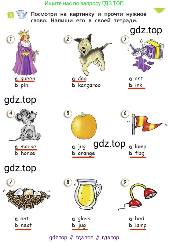 Английский язык (english), 2 класс Учебник (Student's book), авторы: Быкова Надежда Ильинична (Bykova Nadezhda), Бадулина Ольга Ивановна, Поспелова Марина Давидовна (Pospelova Marina), Эванс Вирджиния (Evans Virginia), издательство Просвещение, Москва, 2023, розового цвета, Часть ( Part) 1, страница 9, номер 3, Решение 3