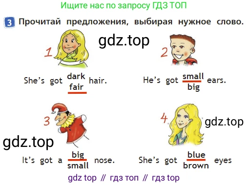 Английский язык (english), 2 класс Учебник (Student's book), авторы: Быкова Надежда Ильинична (Bykova Nadezhda), Бадулина Ольга Ивановна, Поспелова Марина Давидовна (Pospelova Marina), Эванс Вирджиния (Evans Virginia), издательство Просвещение, Москва, 2023, розового цвета, Часть ( Part) 2, страница 38, номер 3, Решение 3
