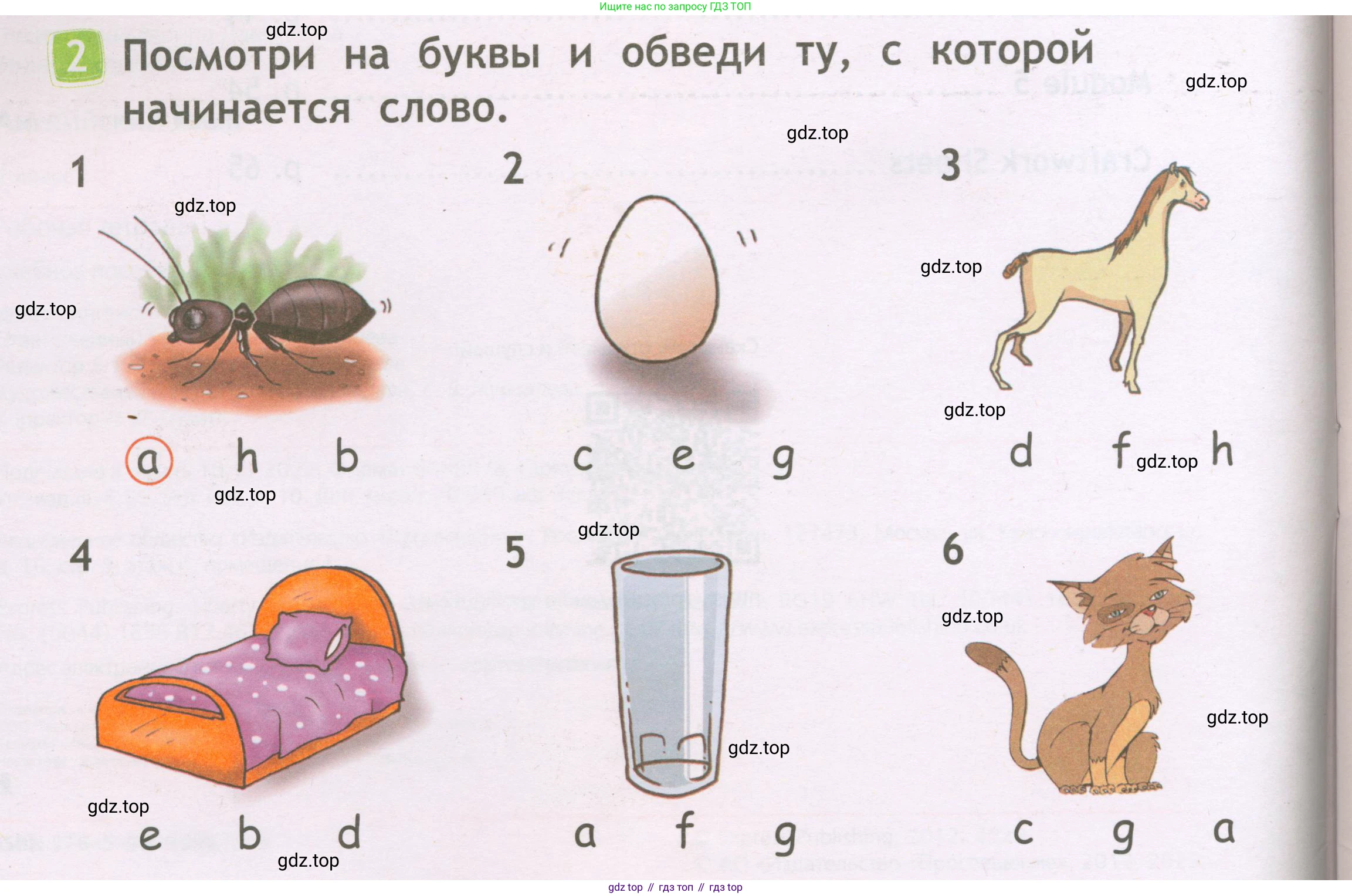 Английский язык (english), 2 класс Рабочая тетрадь (workbook), авторы: Быкова Надежда Ильинична (Bykova Nadezhda), Дули Дженни (Dooley Jenny), Поспелова Марина Давидовна (Pospelova Marina), Эванс Вирджиния (Evans Virginia), издательство Просвещение, Москва, 2023, розового цвета, страница 4, номер 2, Условие