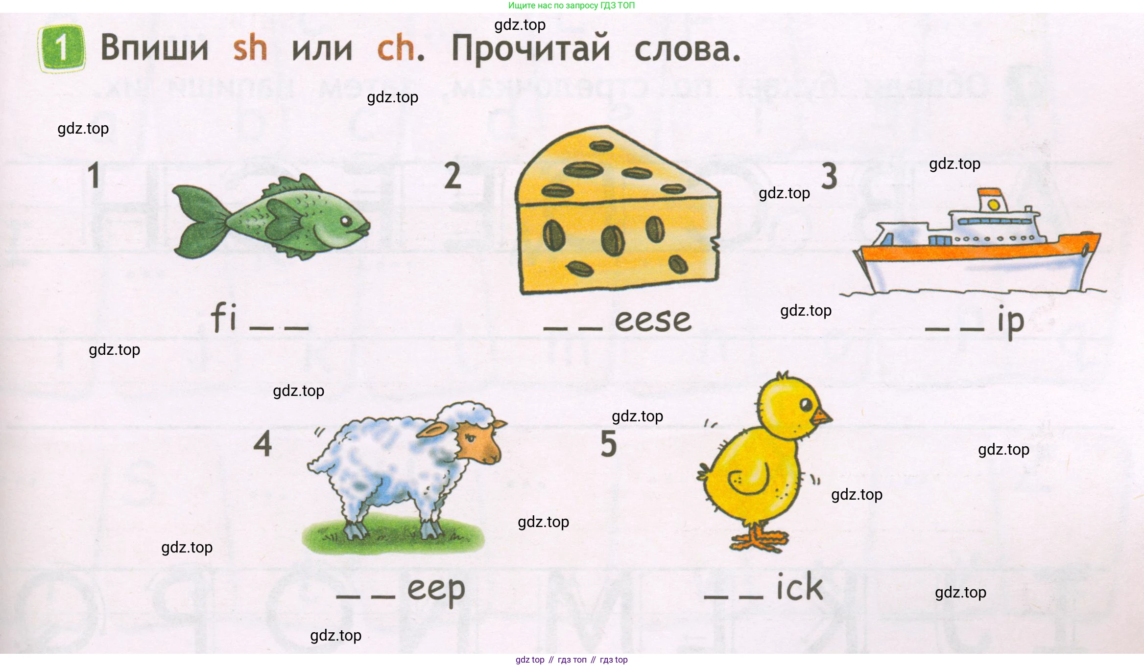 Английский язык (english), 2 класс Рабочая тетрадь (workbook), авторы: Быкова Надежда Ильинична (Bykova Nadezhda), Дули Дженни (Dooley Jenny), Поспелова Марина Давидовна (Pospelova Marina), Эванс Вирджиния (Evans Virginia), издательство Просвещение, Москва, 2023, розового цвета, страница 7, номер 1, Условие