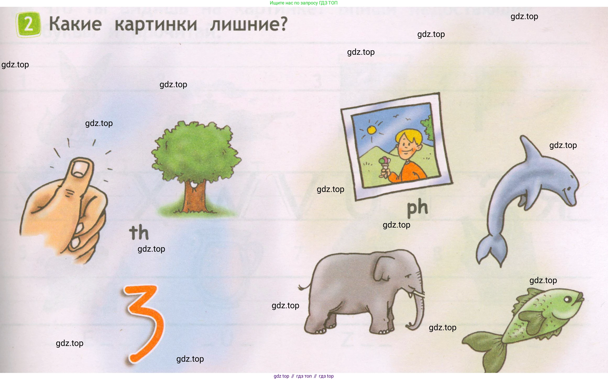 Английский язык (english), 2 класс Рабочая тетрадь (workbook), авторы: Быкова Надежда Ильинична (Bykova Nadezhda), Дули Дженни (Dooley Jenny), Поспелова Марина Давидовна (Pospelova Marina), Эванс Вирджиния (Evans Virginia), издательство Просвещение, Москва, 2023, розового цвета, страница 7, номер 2, Условие