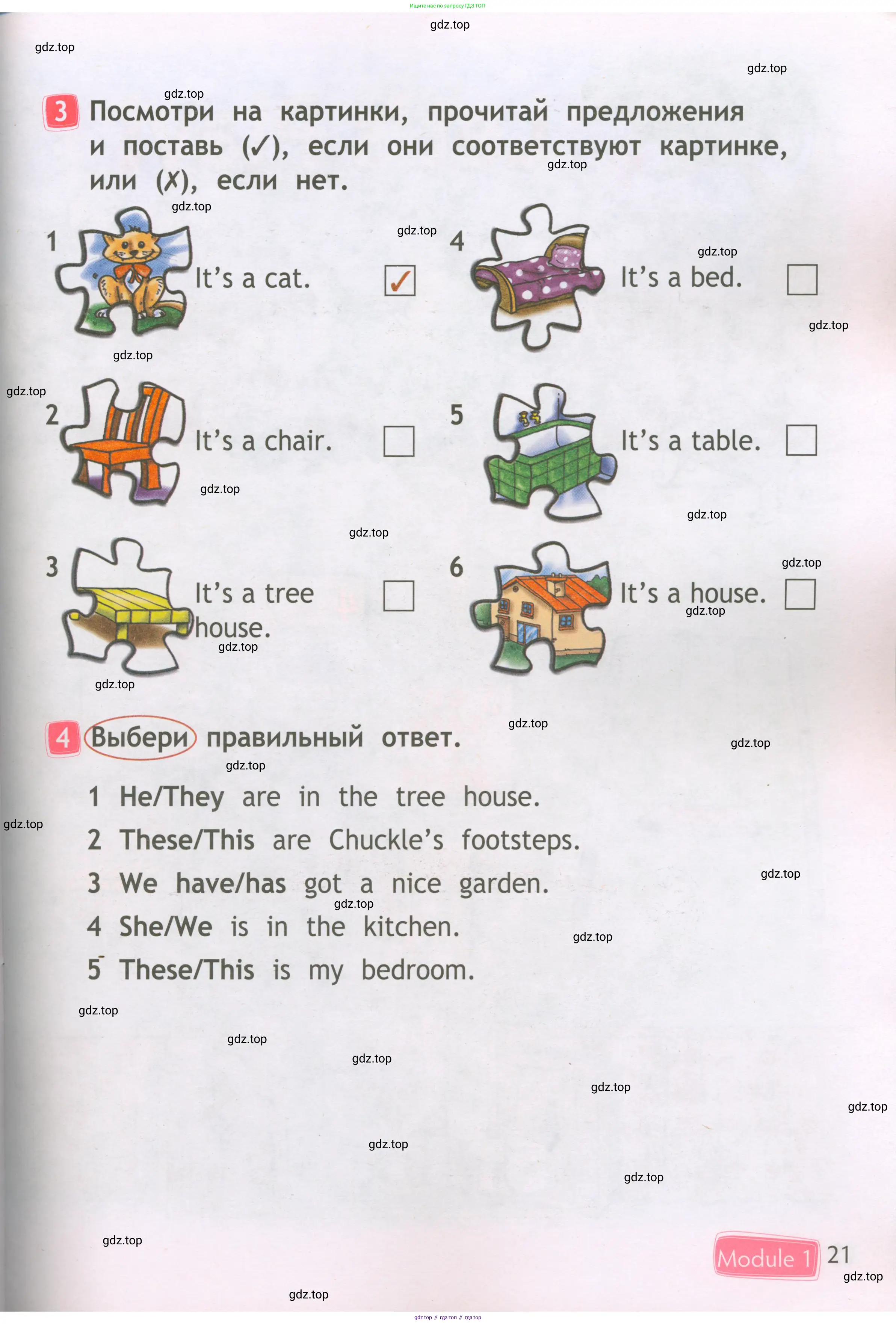 Английский язык (english), 2 класс Рабочая тетрадь (workbook), авторы: Быкова Надежда Ильинична (Bykova Nadezhda), Дули Дженни (Dooley Jenny), Поспелова Марина Давидовна (Pospelova Marina), Эванс Вирджиния (Evans Virginia), издательство Просвещение, Москва, 2023, розового цвета, страница 21