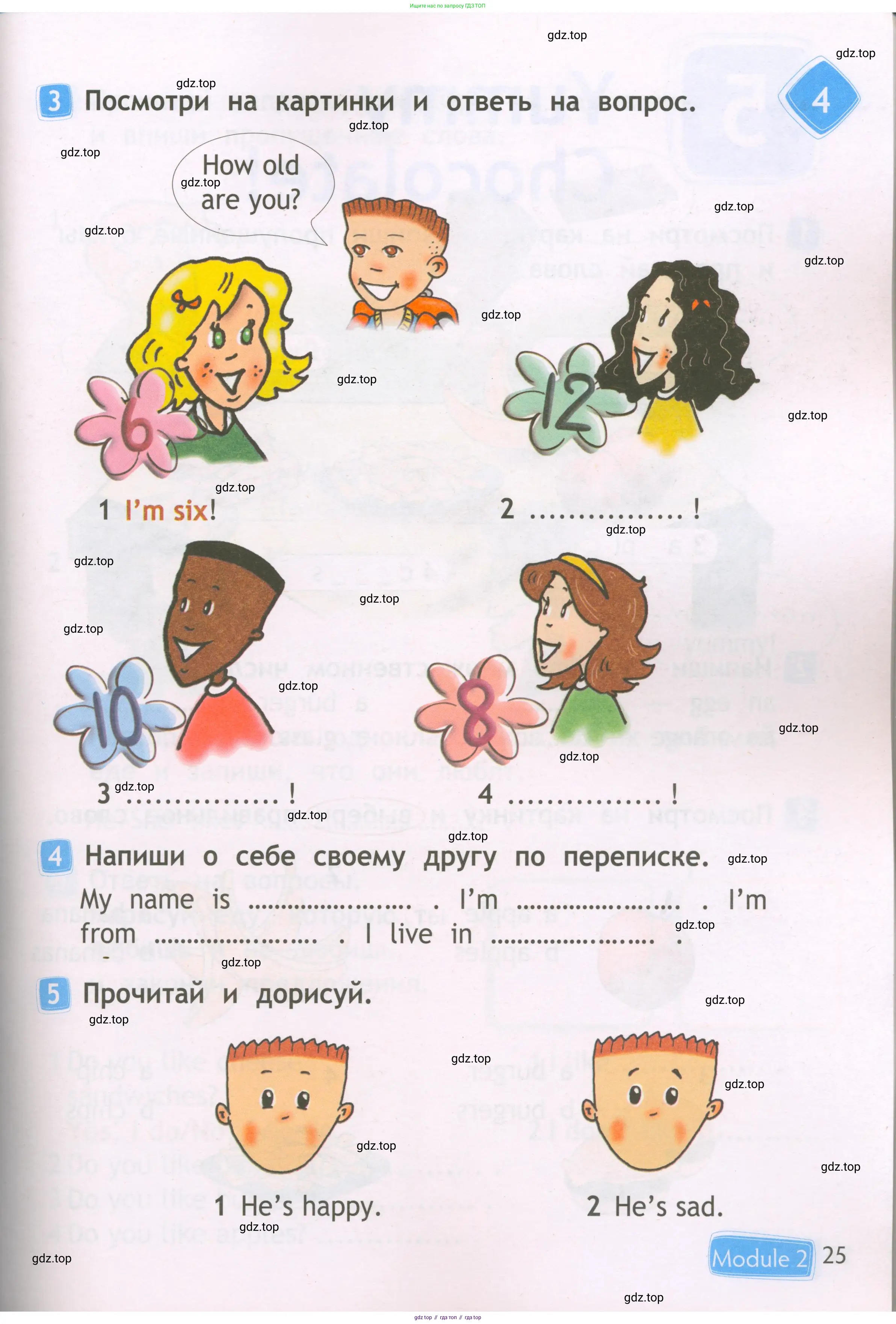 Английский язык (english), 2 класс Рабочая тетрадь (workbook), авторы: Быкова Надежда Ильинична (Bykova Nadezhda), Дули Дженни (Dooley Jenny), Поспелова Марина Давидовна (Pospelova Marina), Эванс Вирджиния (Evans Virginia), издательство Просвещение, Москва, 2023, розового цвета, страница 25