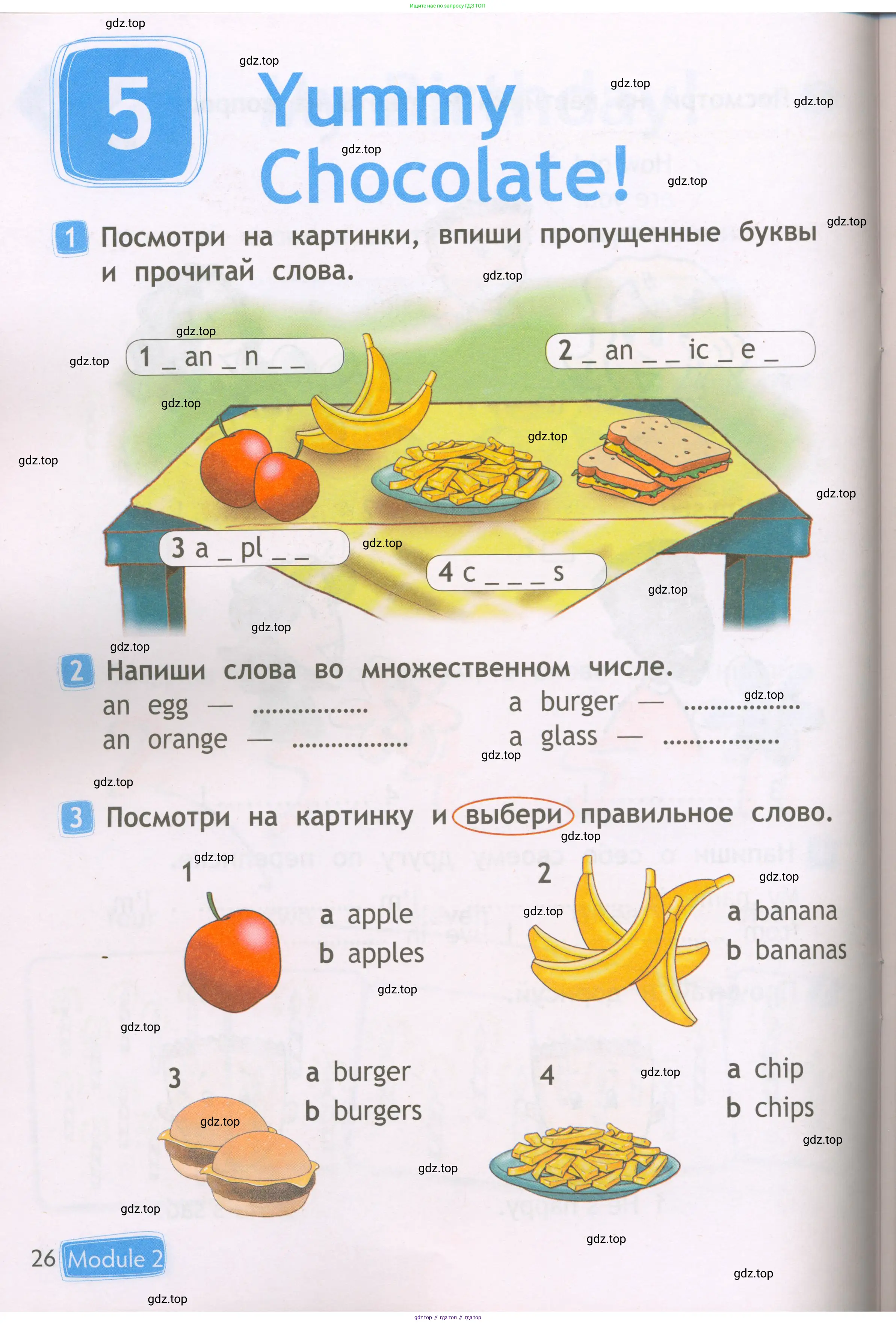 Английский язык (english), 2 класс Рабочая тетрадь (workbook), авторы: Быкова Надежда Ильинична (Bykova Nadezhda), Дули Дженни (Dooley Jenny), Поспелова Марина Давидовна (Pospelova Marina), Эванс Вирджиния (Evans Virginia), издательство Просвещение, Москва, 2023, розового цвета, страница 26