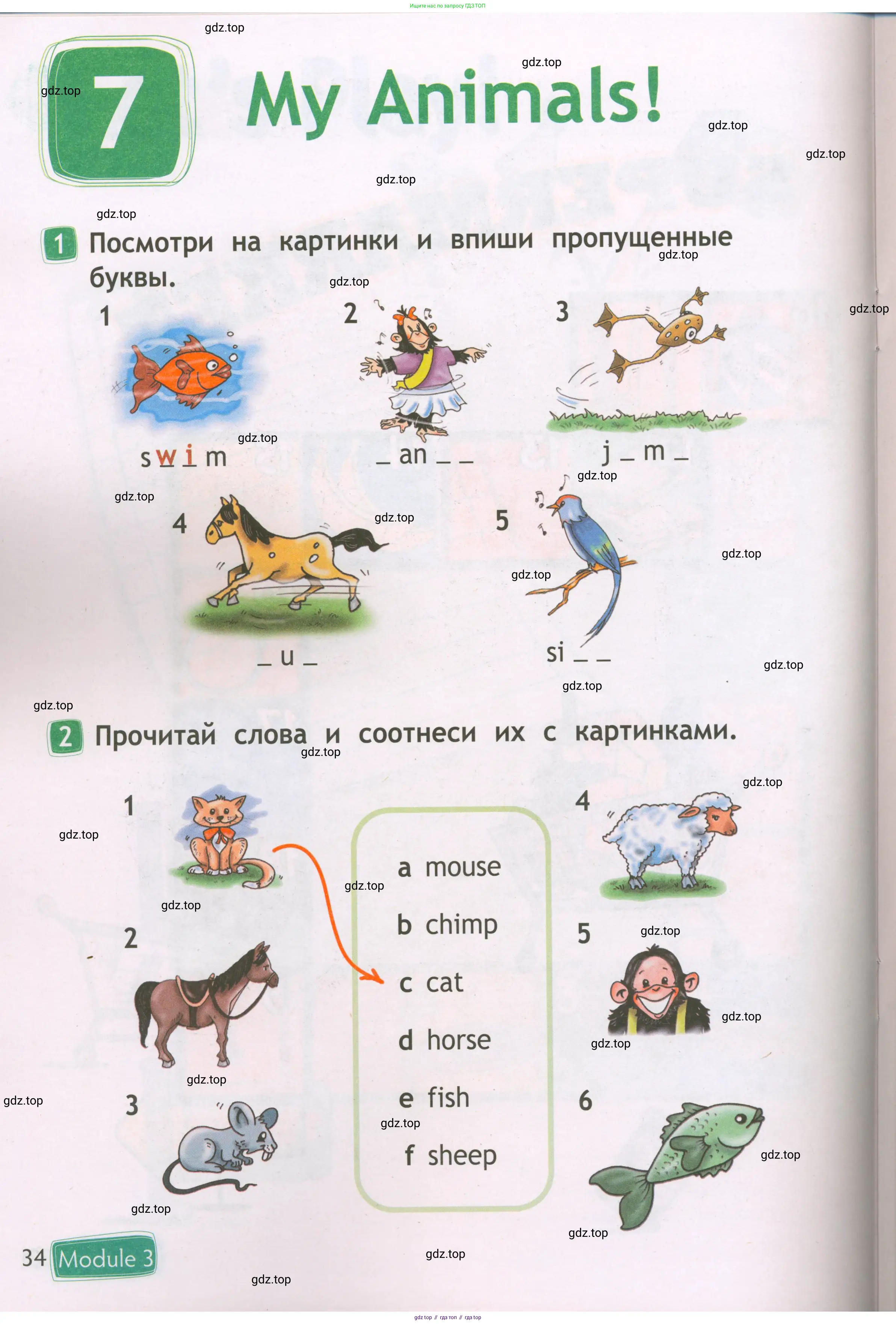 Английский язык (english), 2 класс Рабочая тетрадь (workbook), авторы: Быкова Надежда Ильинична (Bykova Nadezhda), Дули Дженни (Dooley Jenny), Поспелова Марина Давидовна (Pospelova Marina), Эванс Вирджиния (Evans Virginia), издательство Просвещение, Москва, 2023, розового цвета, страница 34