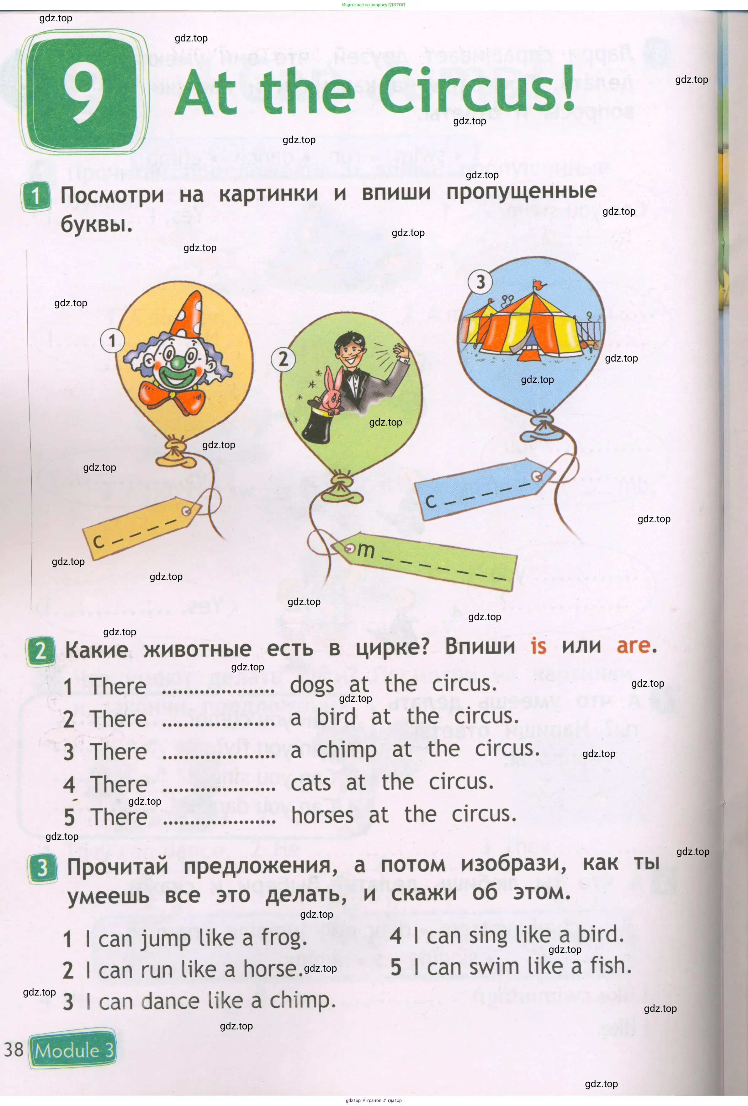 Английский язык (english), 2 класс Рабочая тетрадь (workbook), авторы: Быкова Надежда Ильинична (Bykova Nadezhda), Дули Дженни (Dooley Jenny), Поспелова Марина Давидовна (Pospelova Marina), Эванс Вирджиния (Evans Virginia), издательство Просвещение, Москва, 2023, розового цвета, страница 38