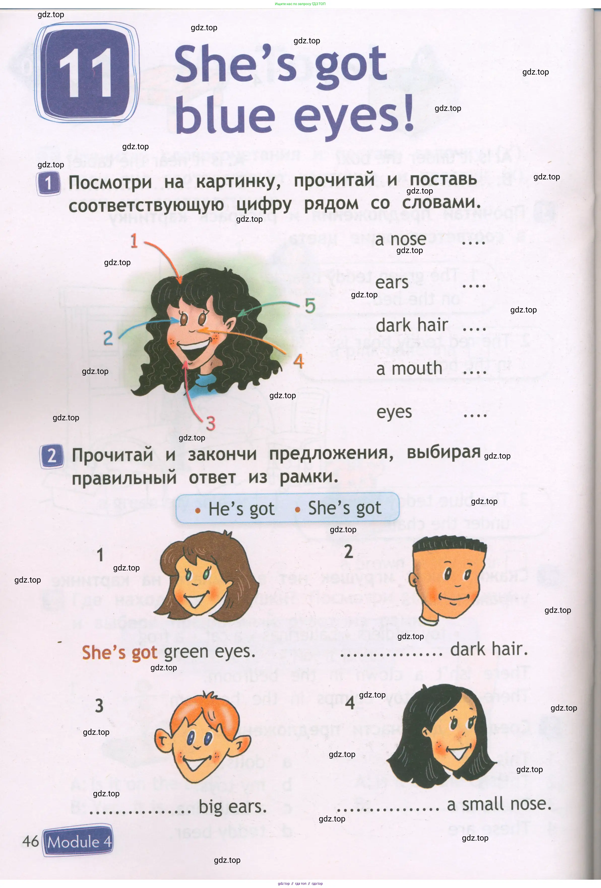 Английский язык (english), 2 класс Рабочая тетрадь (workbook), авторы: Быкова Надежда Ильинична (Bykova Nadezhda), Дули Дженни (Dooley Jenny), Поспелова Марина Давидовна (Pospelova Marina), Эванс Вирджиния (Evans Virginia), издательство Просвещение, Москва, 2023, розового цвета, страница 46