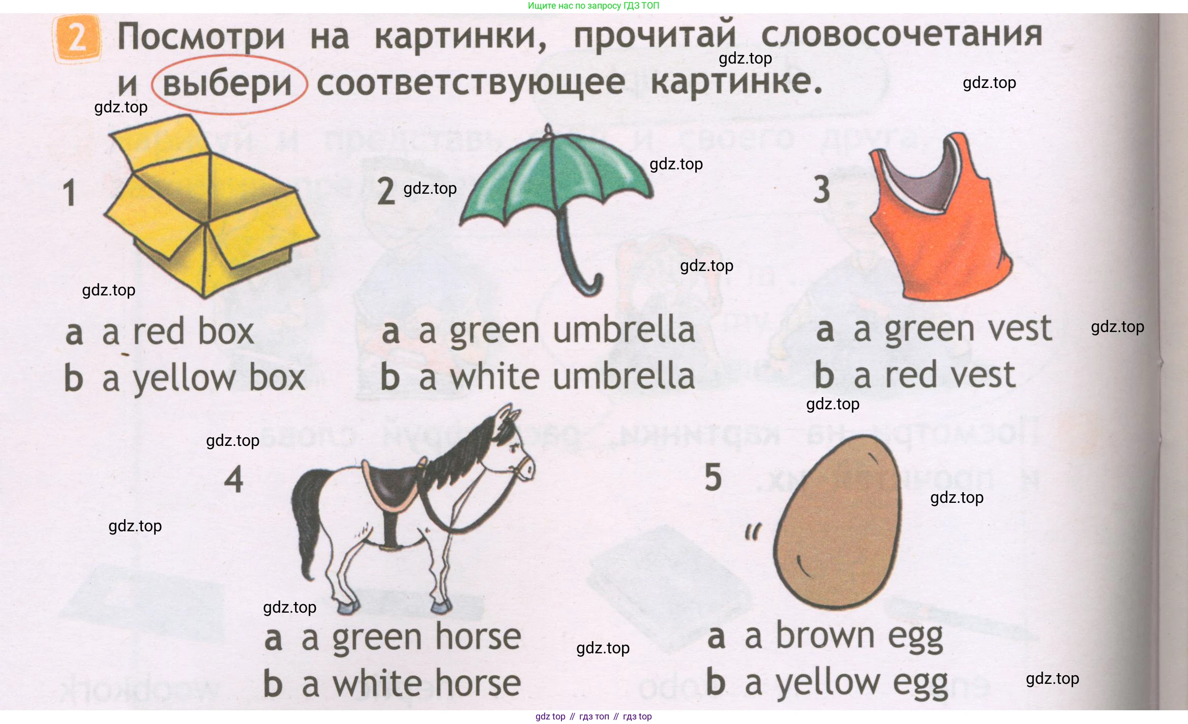 Английский язык (english), 2 класс Рабочая тетрадь (workbook), авторы: Быкова Надежда Ильинична (Bykova Nadezhda), Дули Дженни (Dooley Jenny), Поспелова Марина Давидовна (Pospelova Marina), Эванс Вирджиния (Evans Virginia), издательство Просвещение, Москва, 2023, розового цвета, страница 12, номер 2, Условие