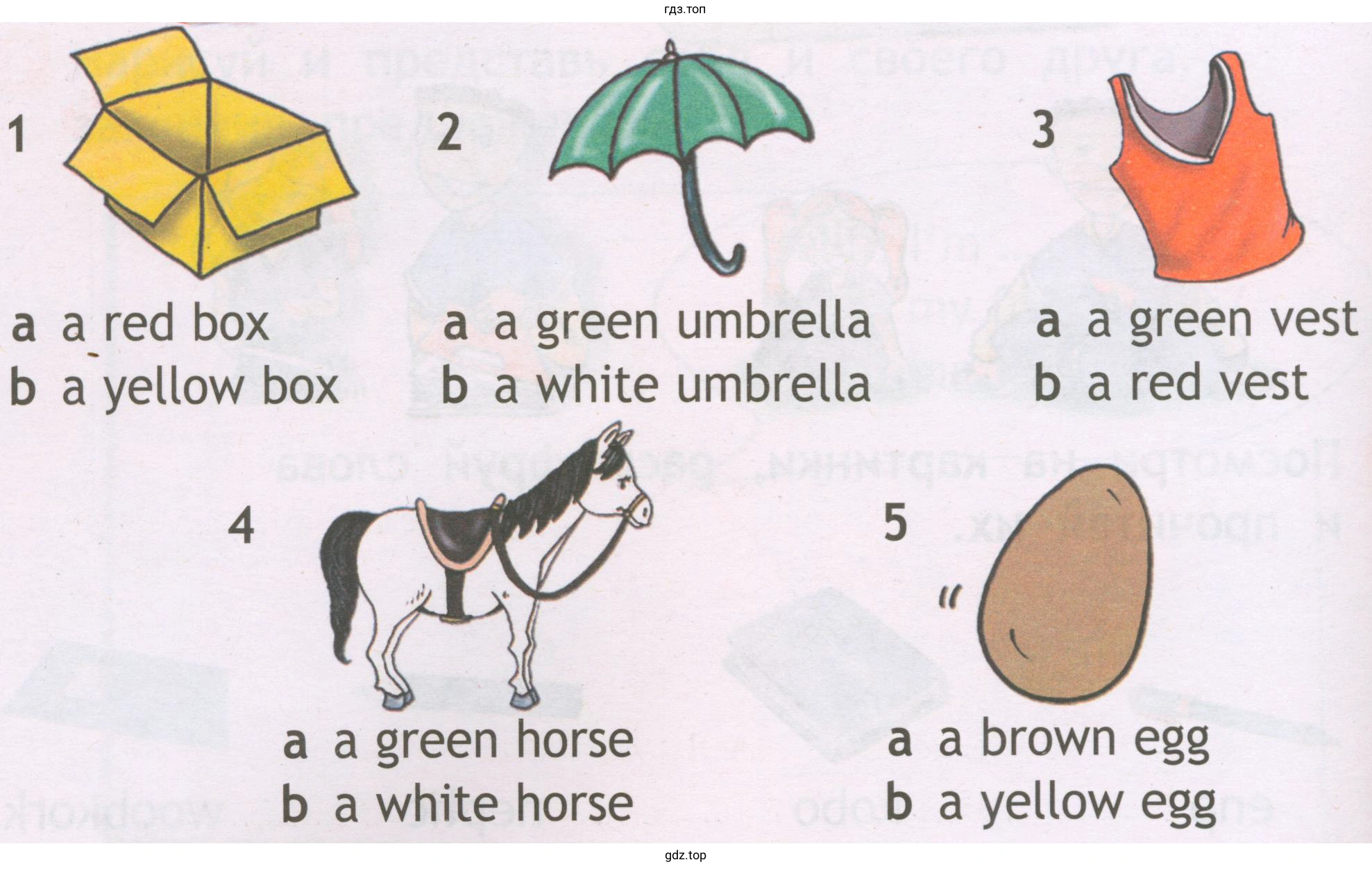 1 а а red box b а yellow box 2 а а green umbrella а white umbrella 5 а а а green horse b а white horse 3 а а green vest b а red vest а brown еgg а yellow еgg