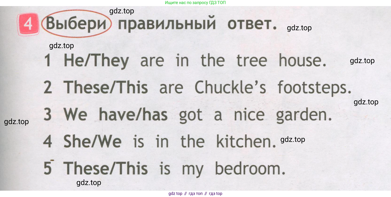 Английский язык (english), 2 класс Рабочая тетрадь (workbook), авторы: Быкова Надежда Ильинична (Bykova Nadezhda), Дули Дженни (Dooley Jenny), Поспелова Марина Давидовна (Pospelova Marina), Эванс Вирджиния (Evans Virginia), издательство Просвещение, Москва, 2023, розового цвета, страница 21, номер 4, Условие