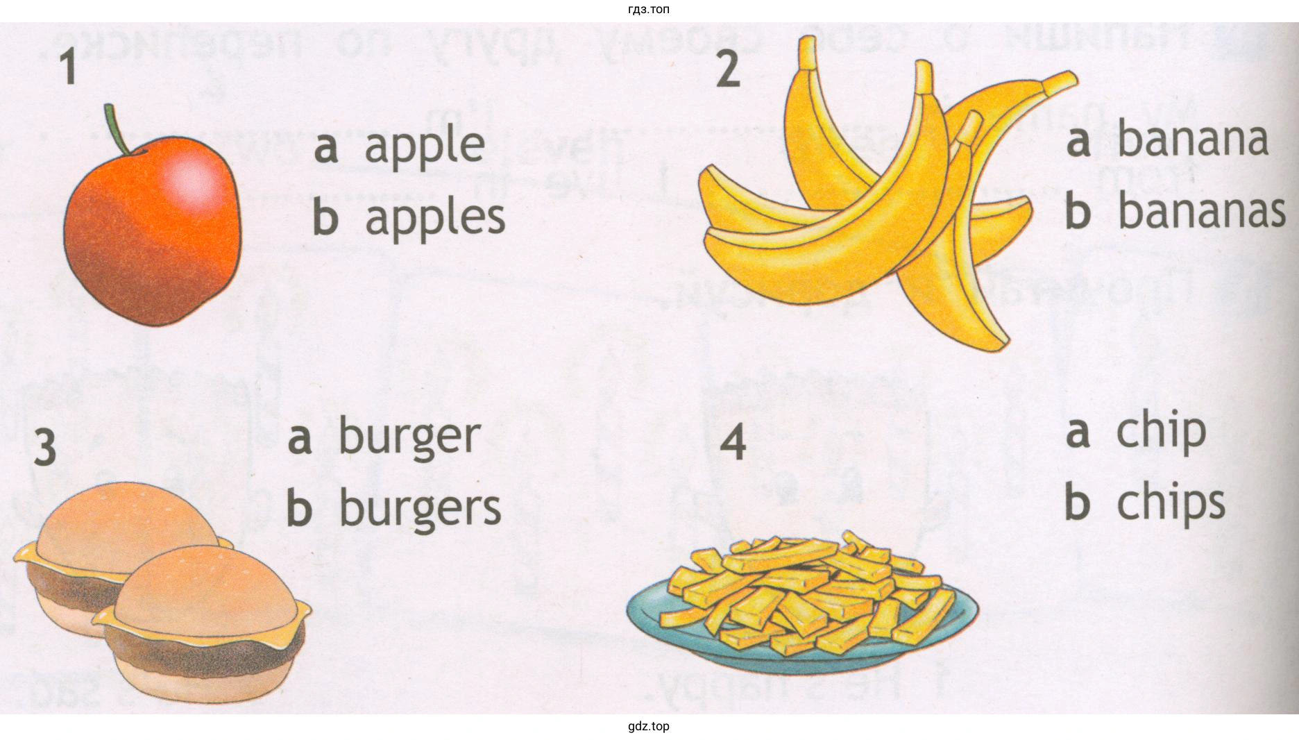 1 а apple b apples 3 а burger b burgers 2 а banana b bananas 4 а chip b chips