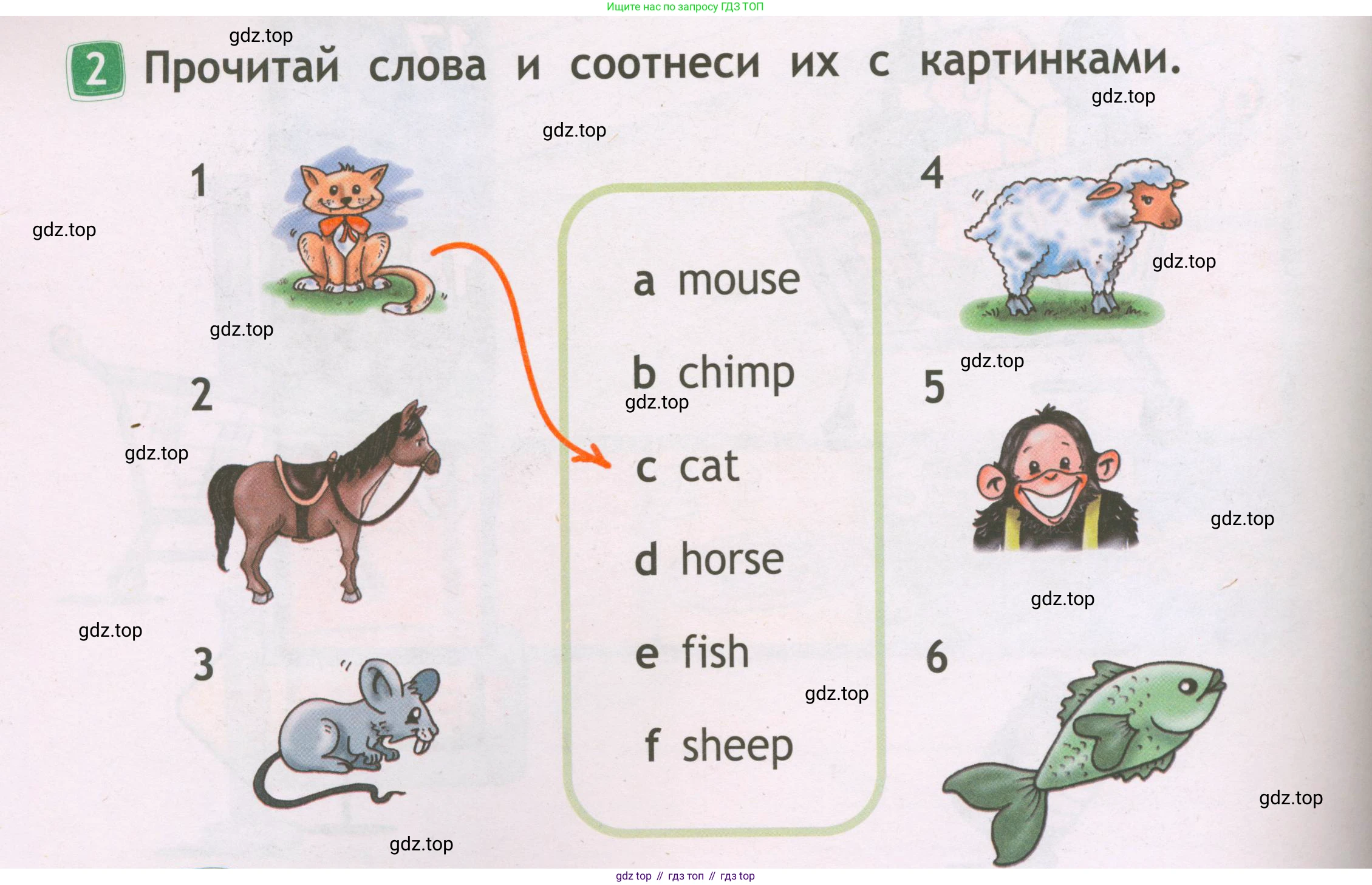 Английский язык (english), 2 класс Рабочая тетрадь (workbook), авторы: Быкова Надежда Ильинична (Bykova Nadezhda), Дули Дженни (Dooley Jenny), Поспелова Марина Давидовна (Pospelova Marina), Эванс Вирджиния (Evans Virginia), издательство Просвещение, Москва, 2023, розового цвета, страница 34, номер 2, Условие