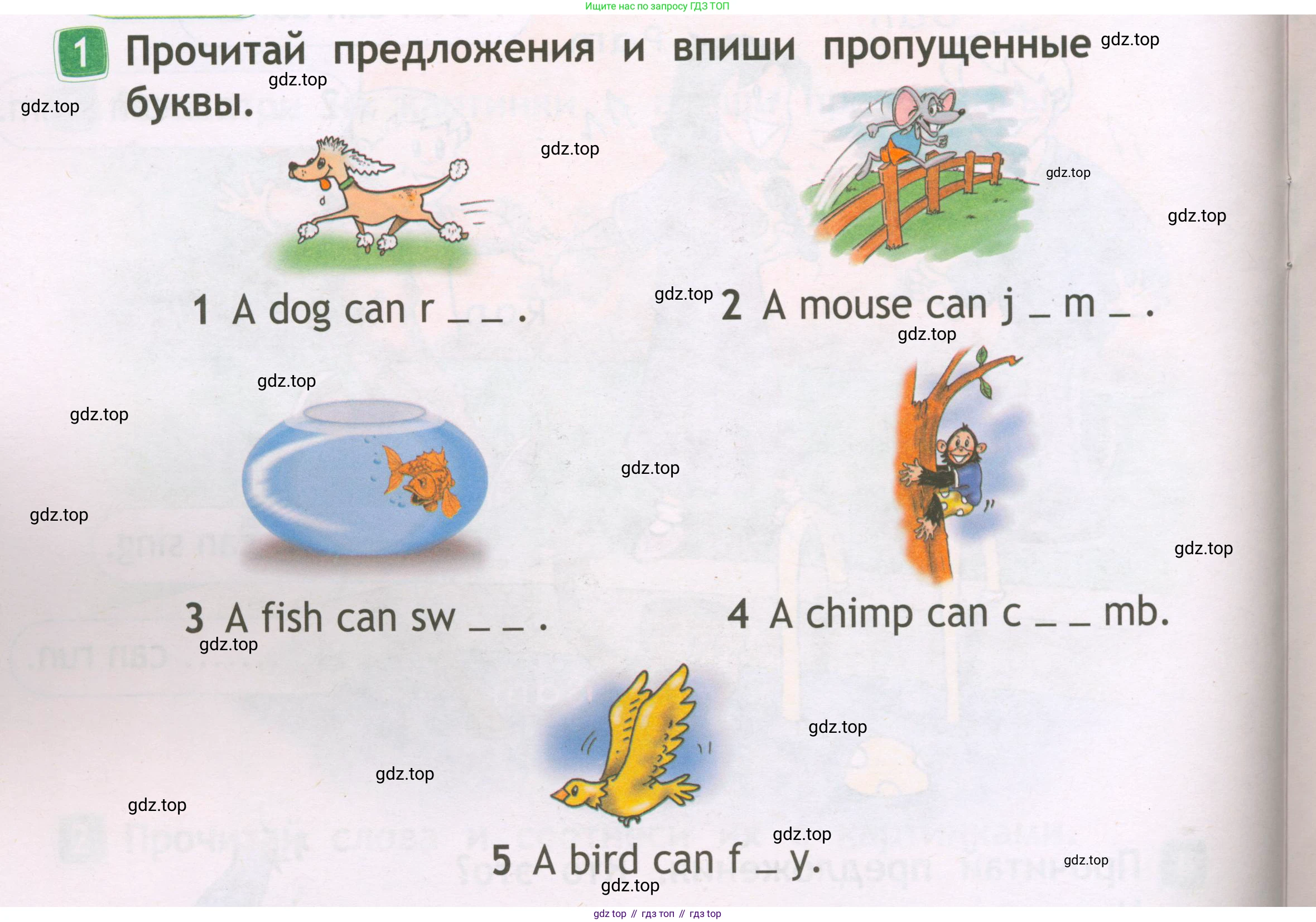 Английский язык (english), 2 класс Рабочая тетрадь (workbook), авторы: Быкова Надежда Ильинична (Bykova Nadezhda), Дули Дженни (Dooley Jenny), Поспелова Марина Давидовна (Pospelova Marina), Эванс Вирджиния (Evans Virginia), издательство Просвещение, Москва, 2023, розового цвета, страница 36, номер 1, Условие