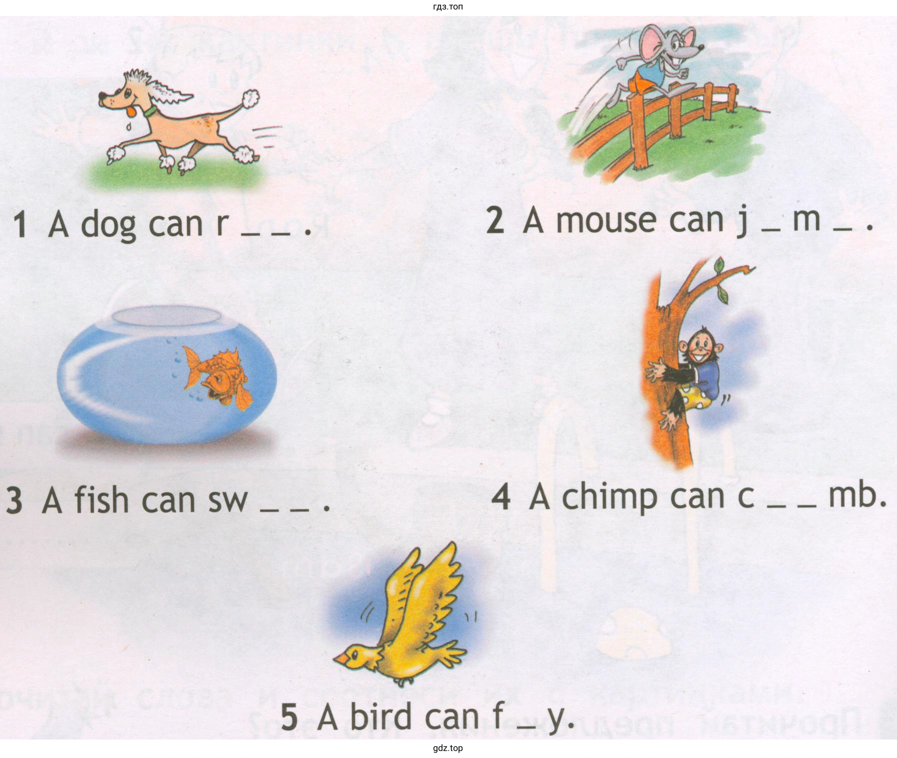 1 Adog сап r . 3 А fish саn sw . 2 А mouse саn ј m 4 А chimp саn с mb. 5 А bird саn f y