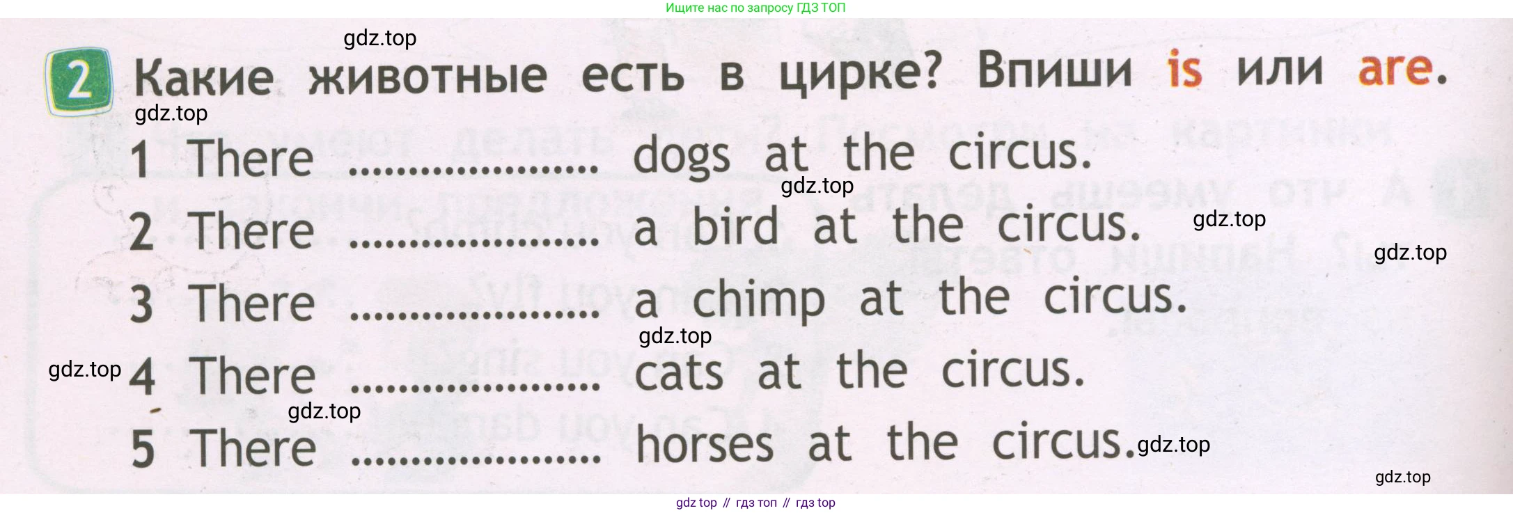Английский язык (english), 2 класс Рабочая тетрадь (workbook), авторы: Быкова Надежда Ильинична (Bykova Nadezhda), Дули Дженни (Dooley Jenny), Поспелова Марина Давидовна (Pospelova Marina), Эванс Вирджиния (Evans Virginia), издательство Просвещение, Москва, 2023, розового цвета, страница 38, номер 2, Условие