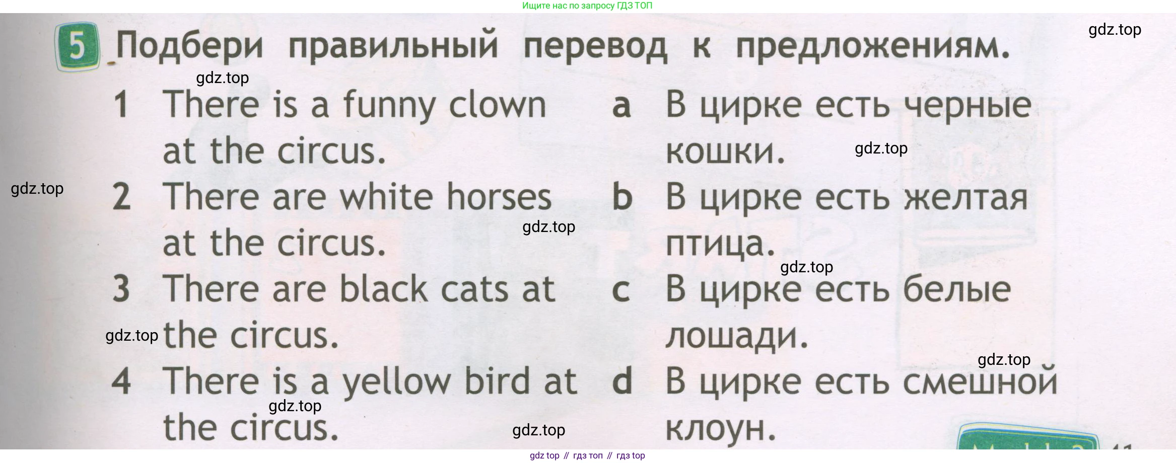 Английский язык (english), 2 класс Рабочая тетрадь (workbook), авторы: Быкова Надежда Ильинична (Bykova Nadezhda), Дули Дженни (Dooley Jenny), Поспелова Марина Давидовна (Pospelova Marina), Эванс Вирджиния (Evans Virginia), издательство Просвещение, Москва, 2023, розового цвета, страница 41, номер 5, Условие