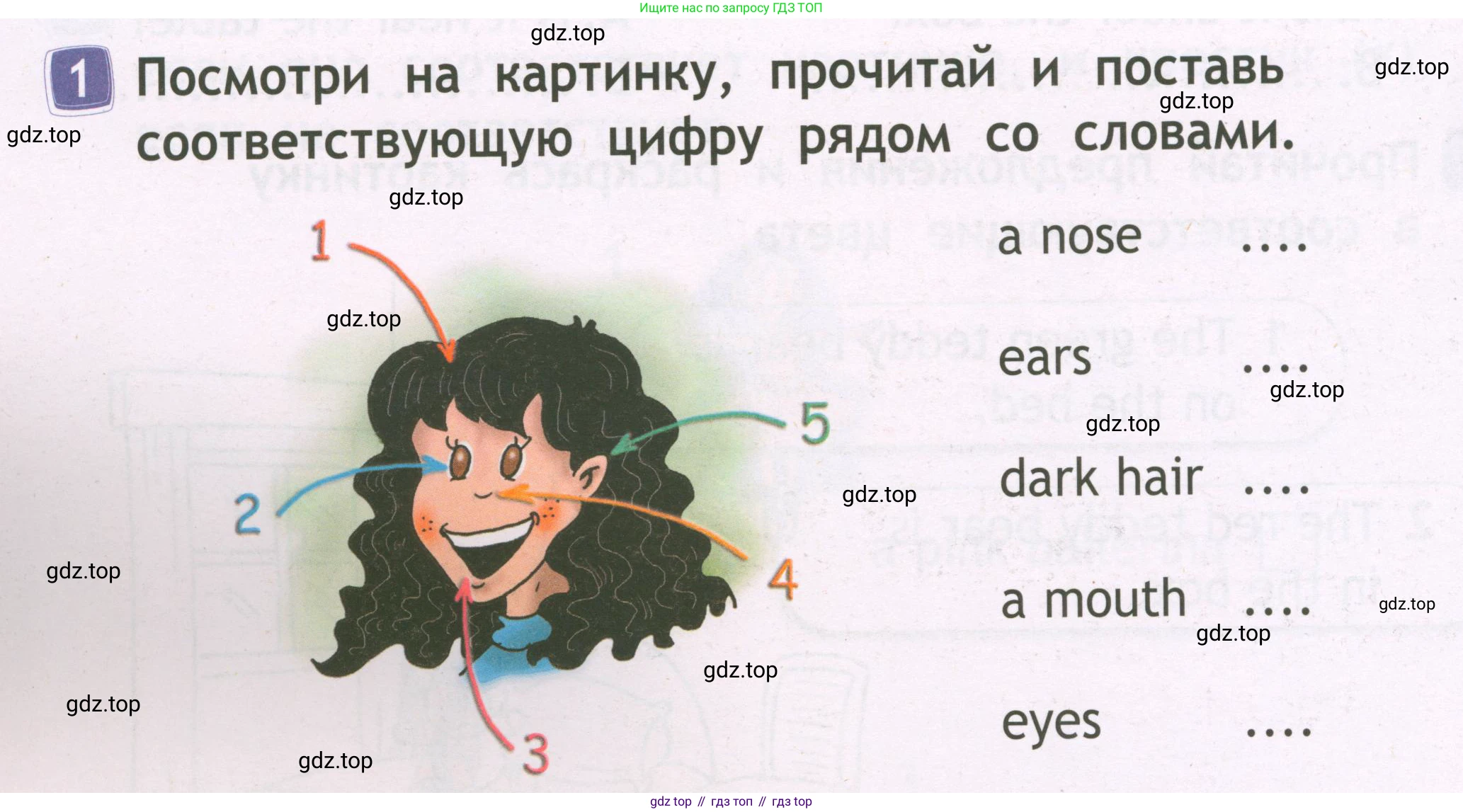 Английский язык (english), 2 класс Рабочая тетрадь (workbook), авторы: Быкова Надежда Ильинична (Bykova Nadezhda), Дули Дженни (Dooley Jenny), Поспелова Марина Давидовна (Pospelova Marina), Эванс Вирджиния (Evans Virginia), издательство Просвещение, Москва, 2023, розового цвета, страница 46, номер 1, Условие