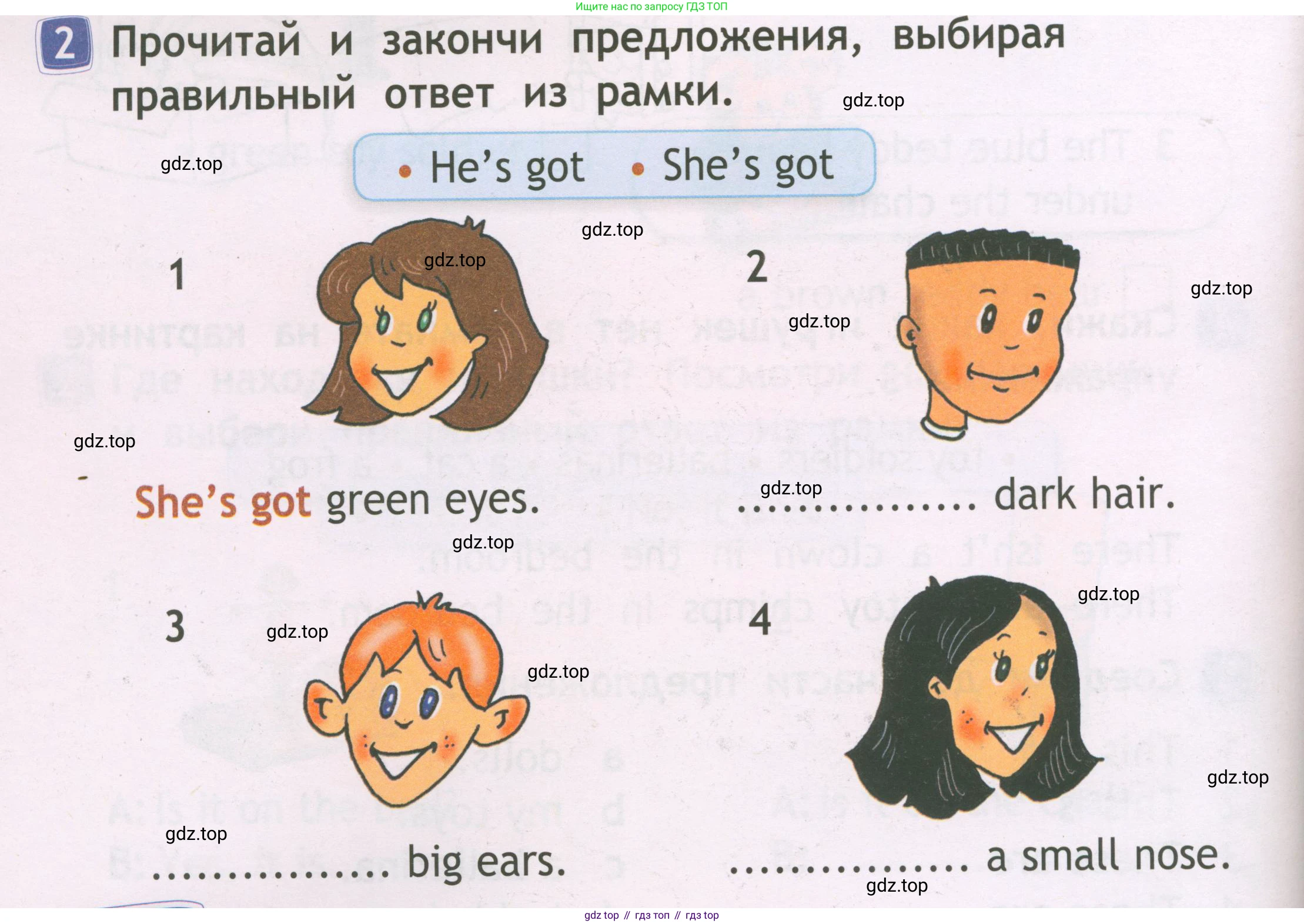 Английский язык (english), 2 класс Рабочая тетрадь (workbook), авторы: Быкова Надежда Ильинична (Bykova Nadezhda), Дули Дженни (Dooley Jenny), Поспелова Марина Давидовна (Pospelova Marina), Эванс Вирджиния (Evans Virginia), издательство Просвещение, Москва, 2023, розового цвета, страница 46, номер 2, Условие