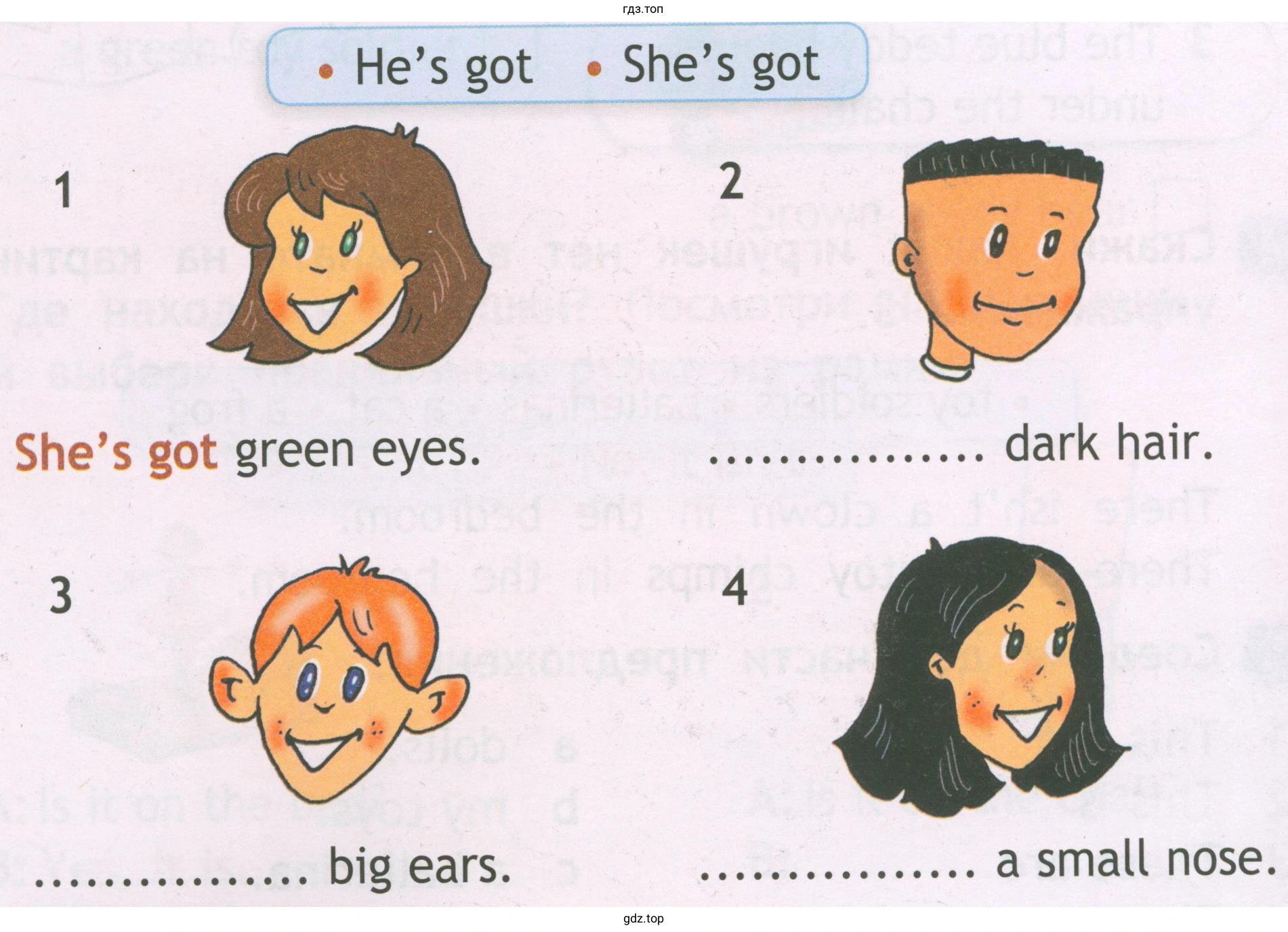 • He's got She's got green eyes. big ears. She's got dark hair. а small nose.