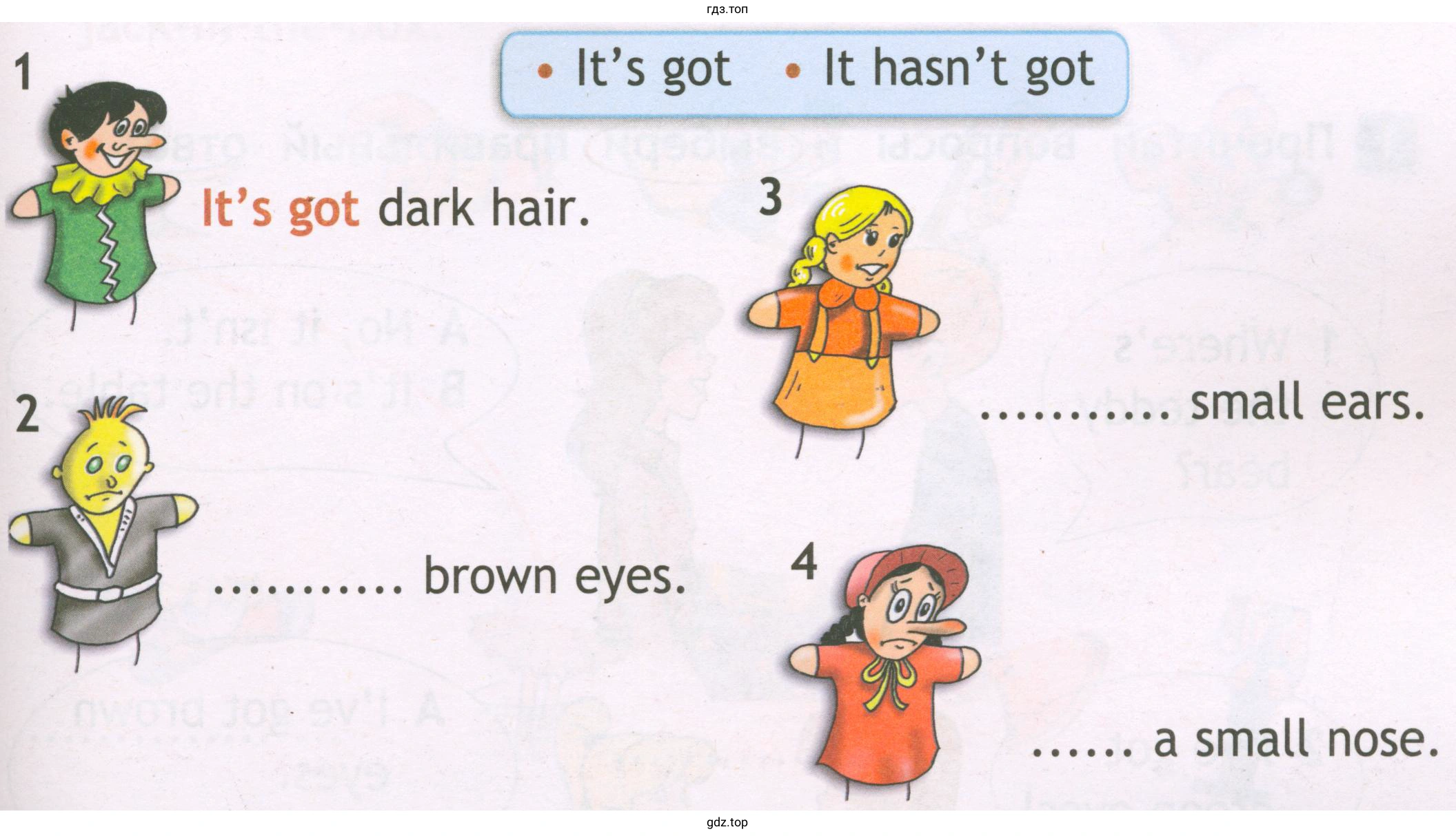 • lt hasn't got • lt's got 1 lt's got dark hair. 2 brown eyes. 3 small ears. 4 а small nose.