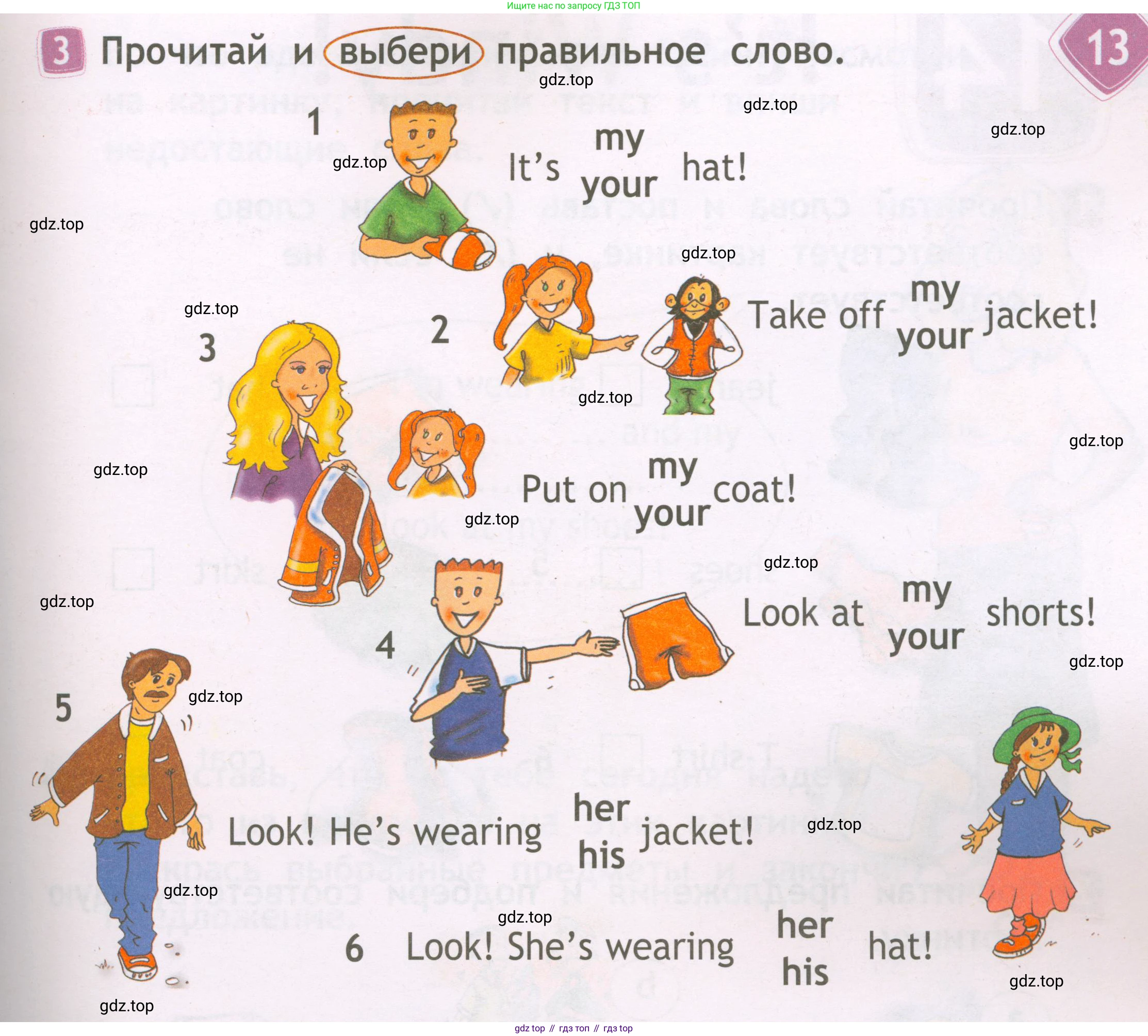 Английский язык (english), 2 класс Рабочая тетрадь (workbook), авторы: Быкова Надежда Ильинична (Bykova Nadezhda), Дули Дженни (Dooley Jenny), Поспелова Марина Давидовна (Pospelova Marina), Эванс Вирджиния (Evans Virginia), издательство Просвещение, Москва, 2023, розового цвета, страница 55, номер 3, Условие
