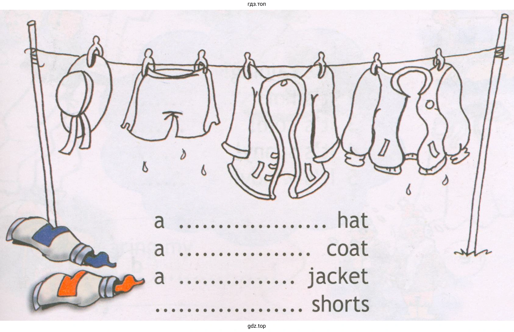 hat coat jacket shorts