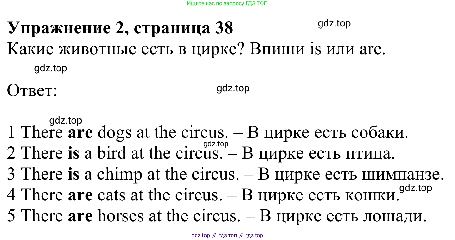 Английский язык (english), 2 класс Рабочая тетрадь (workbook), авторы: Быкова Надежда Ильинична (Bykova Nadezhda), Дули Дженни (Dooley Jenny), Поспелова Марина Давидовна (Pospelova Marina), Эванс Вирджиния (Evans Virginia), издательство Просвещение, Москва, 2023, розового цвета, страница 38, номер 2, Решение 2