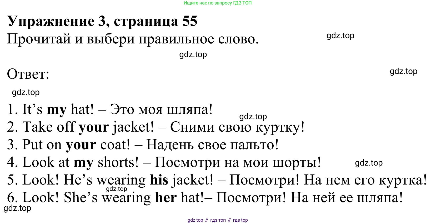 Английский язык (english), 2 класс Рабочая тетрадь (workbook), авторы: Быкова Надежда Ильинична (Bykova Nadezhda), Дули Дженни (Dooley Jenny), Поспелова Марина Давидовна (Pospelova Marina), Эванс Вирджиния (Evans Virginia), издательство Просвещение, Москва, 2023, розового цвета, страница 55, номер 3, Решение 2