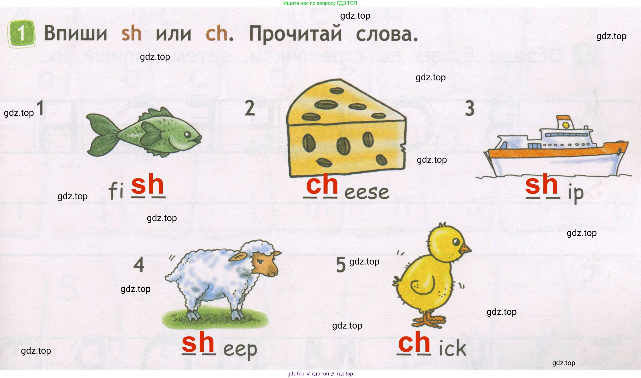 Английский язык (english), 2 класс Рабочая тетрадь (workbook), авторы: Быкова Надежда Ильинична (Bykova Nadezhda), Дули Дженни (Dooley Jenny), Поспелова Марина Давидовна (Pospelova Marina), Эванс Вирджиния (Evans Virginia), издательство Просвещение, Москва, 2023, розового цвета, страница 7, номер 1, Решение 3