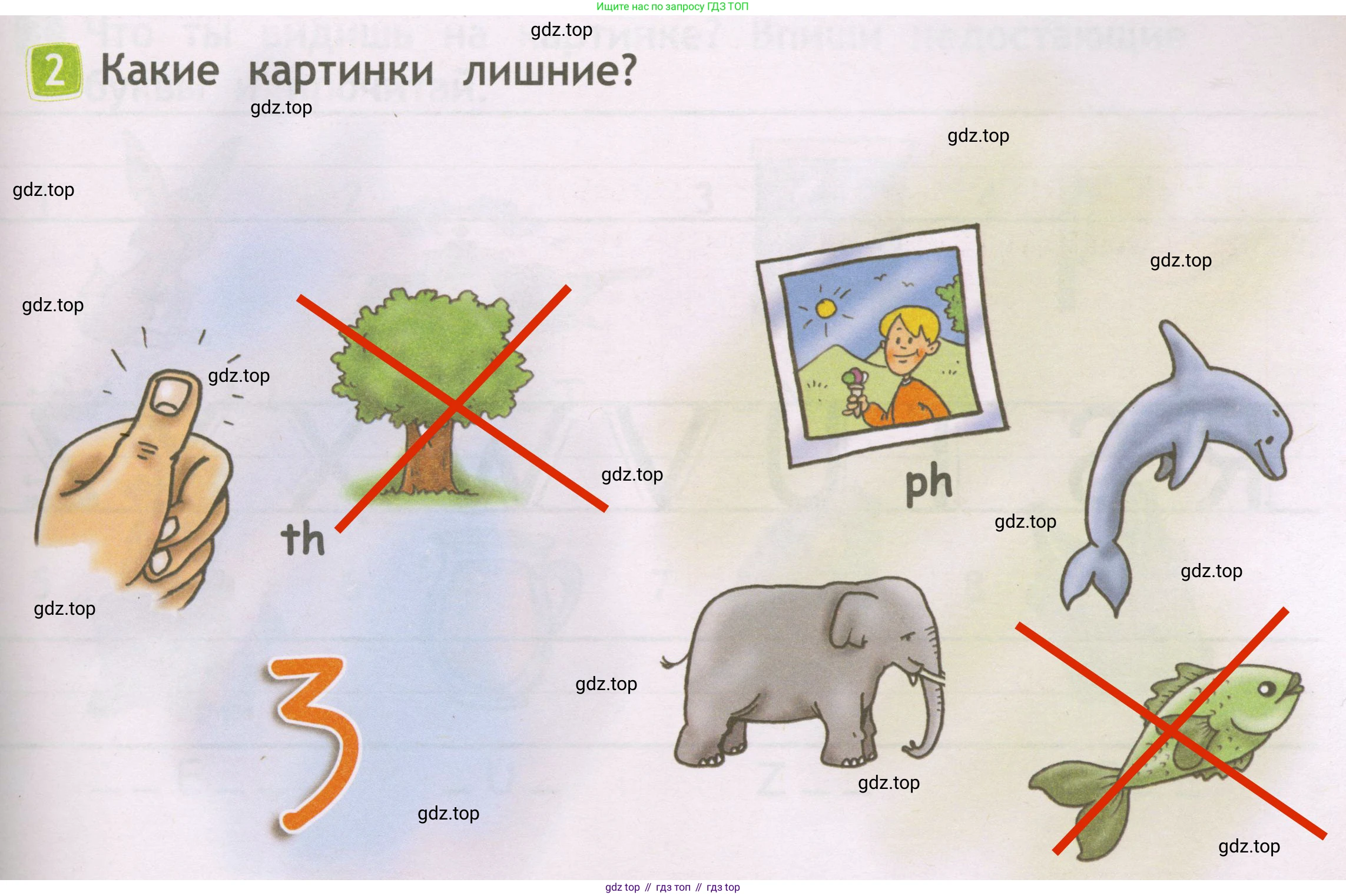 Английский язык (english), 2 класс Рабочая тетрадь (workbook), авторы: Быкова Надежда Ильинична (Bykova Nadezhda), Дули Дженни (Dooley Jenny), Поспелова Марина Давидовна (Pospelova Marina), Эванс Вирджиния (Evans Virginia), издательство Просвещение, Москва, 2023, розового цвета, страница 7, номер 2, Решение 3